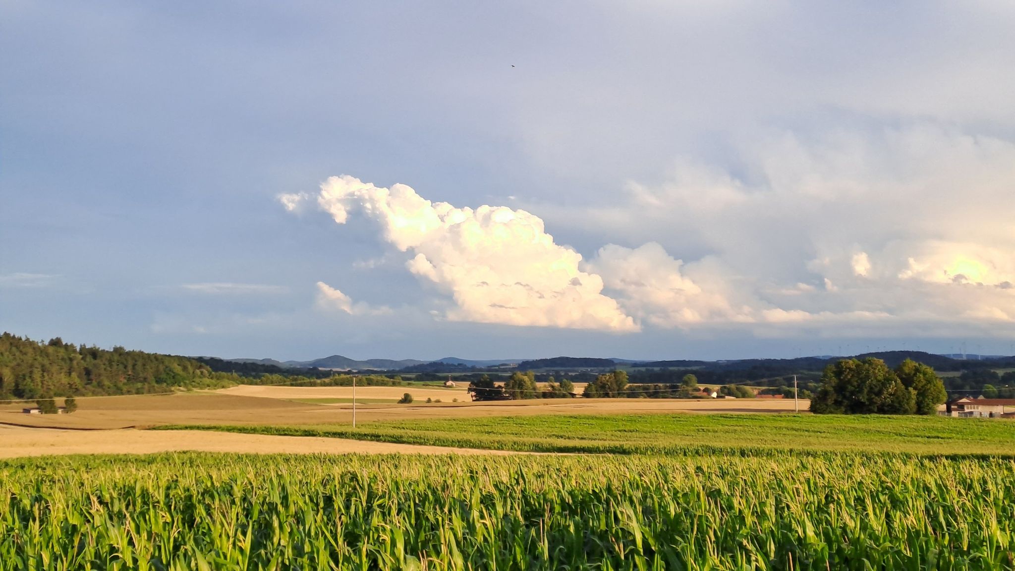 Blick in die Kuppenalb nach Osten - schöne Wolke inklusive