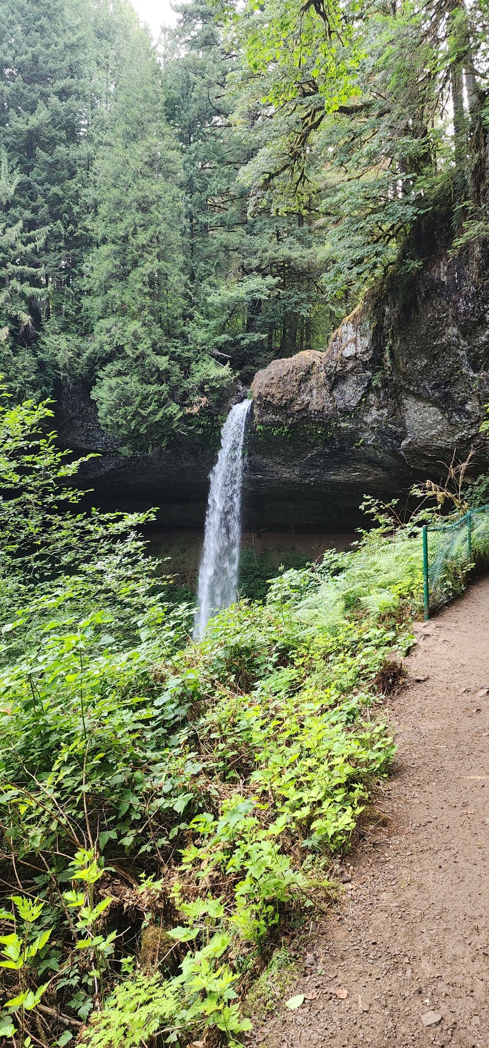 Tall waterfall plunging from a rocky cliff, seen from a dirt path. - North Falls Loop