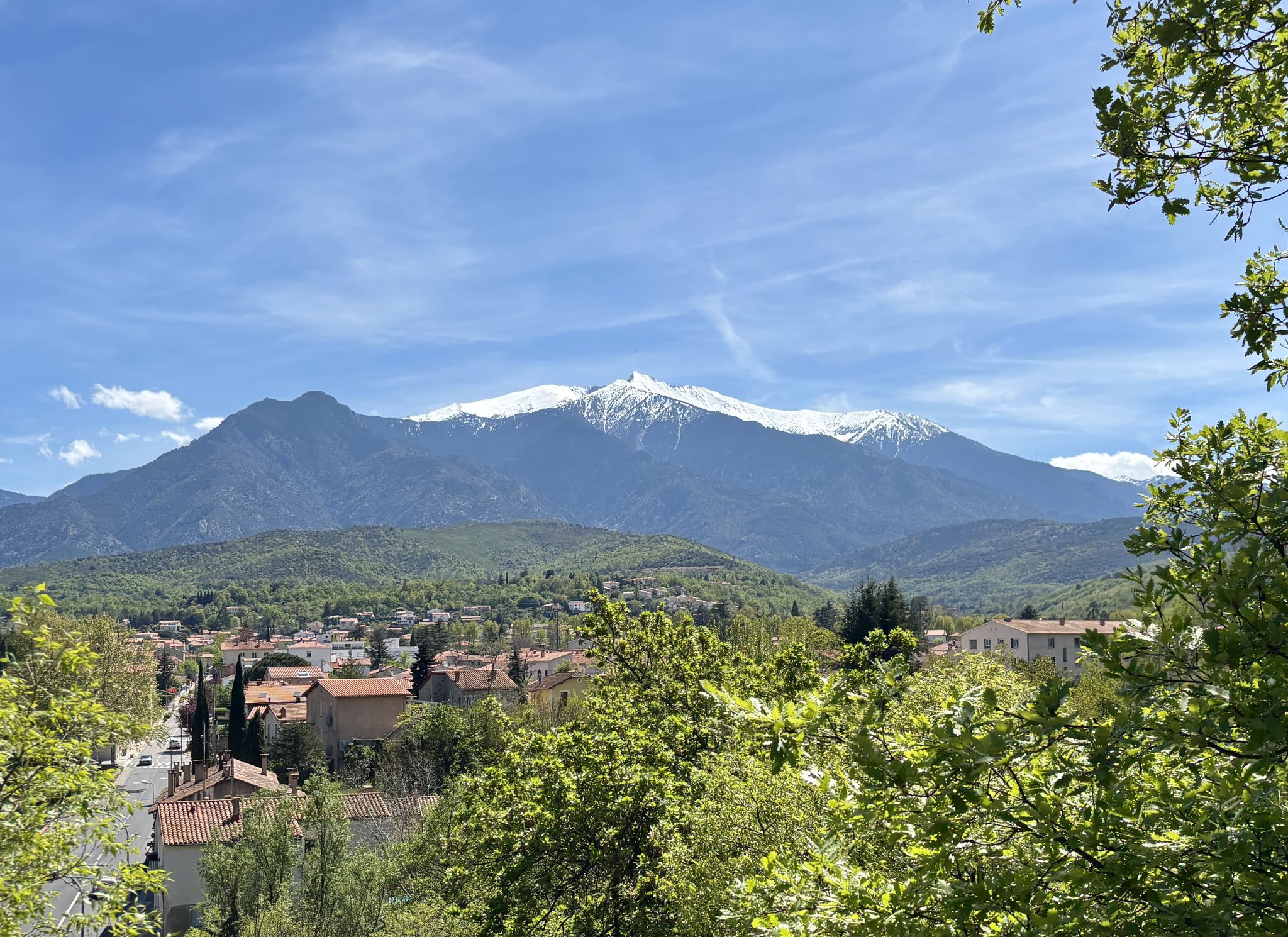 Belle vue sur le massif du Canigou bien dégagé aujourd'hui