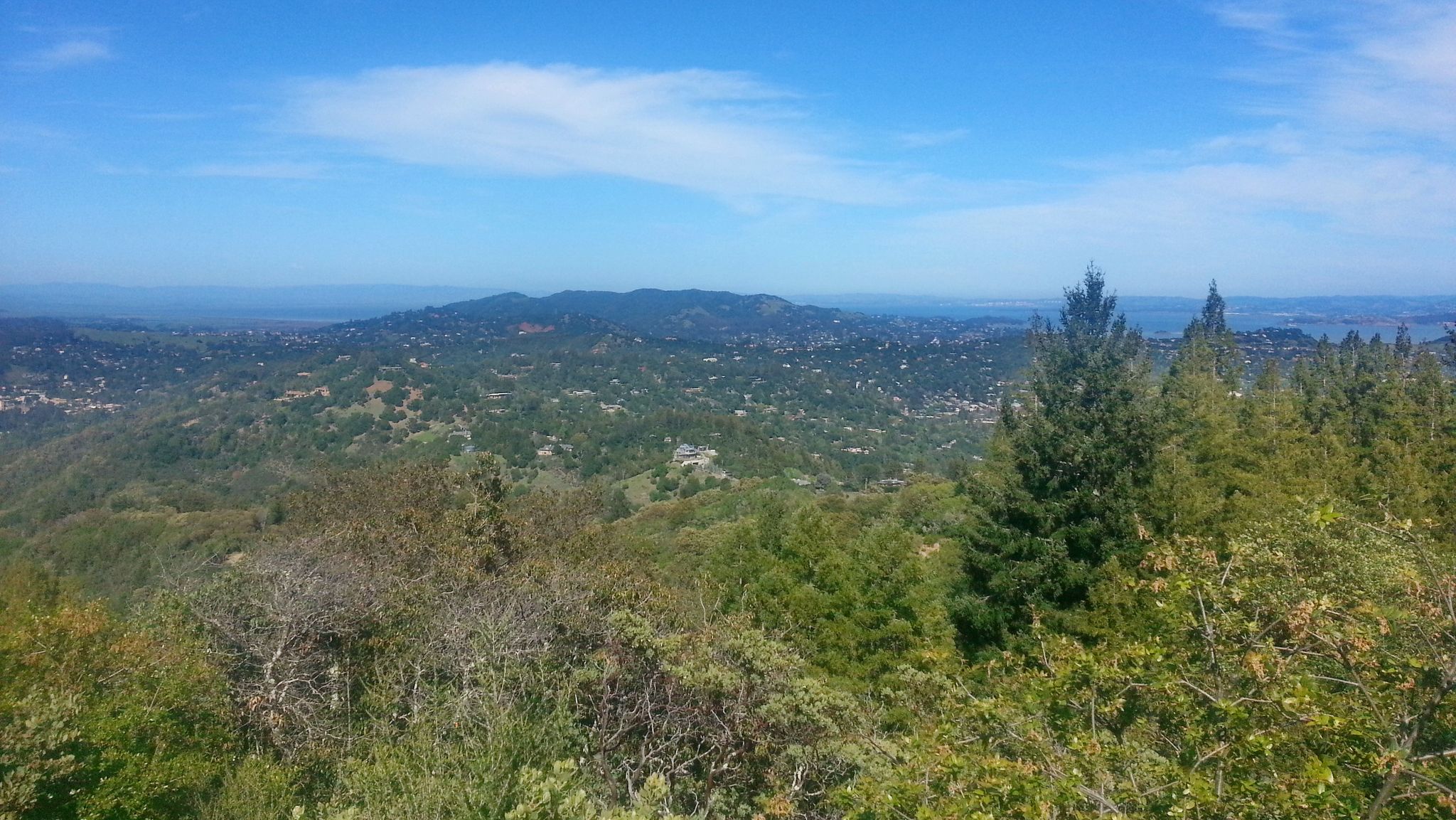 Panoramic view of green, tree-covered hills under a bright blue sky. - Mount Tamalpais East & Middle Peaks from Lake Lagunitas loop