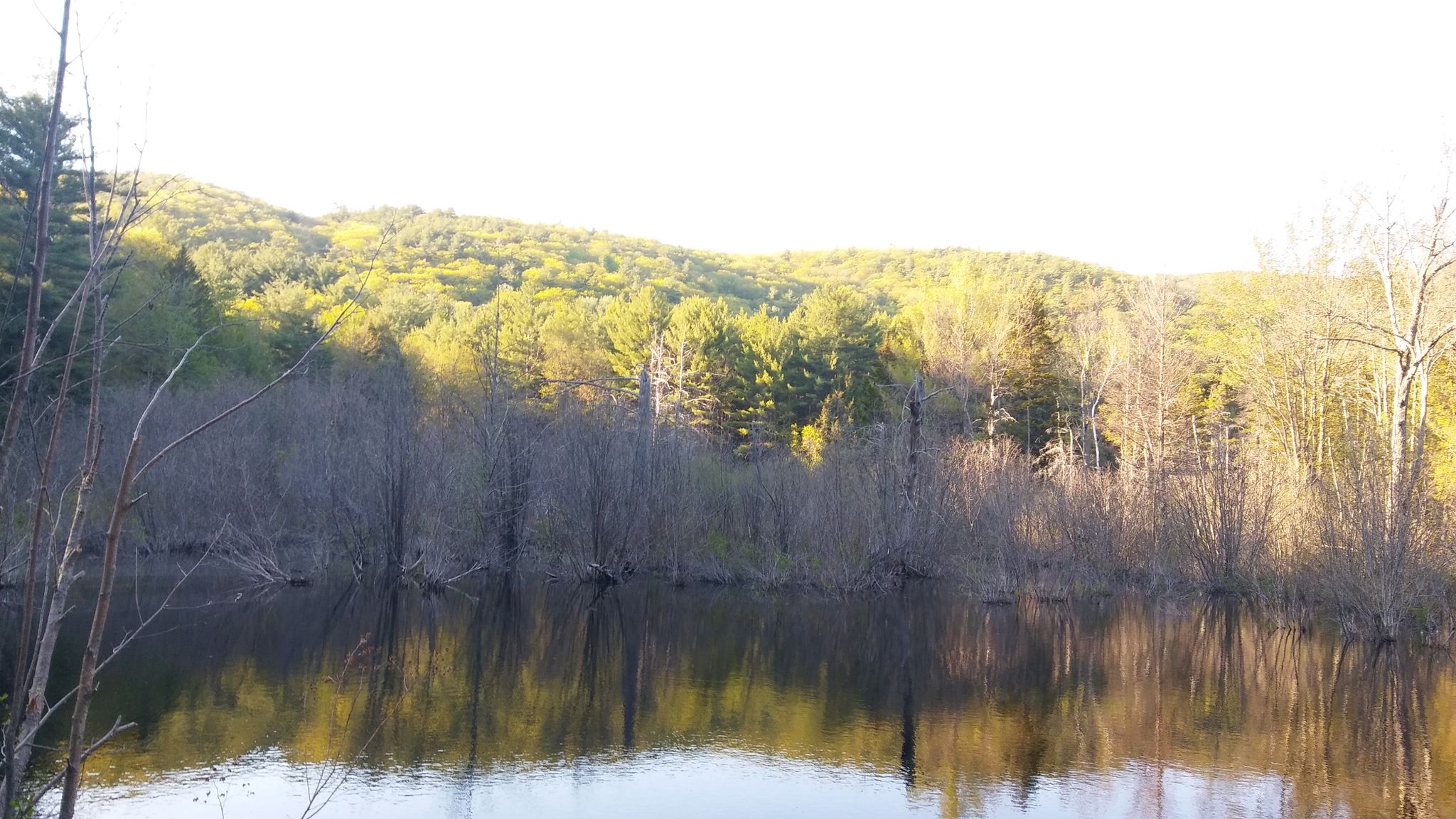 Calm water reflects bare trees and a sunlit forested hill. - Straightback Mountain and Mount Anna Loop