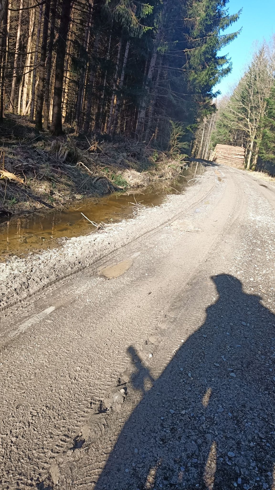 der Weg durch den Klosterbeurer Wald ist noch sehr schlammig aber wieder frei von Bäumen 🌲👍