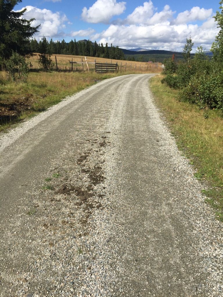 Gut mit det Rad befahrbarer Schotterweg