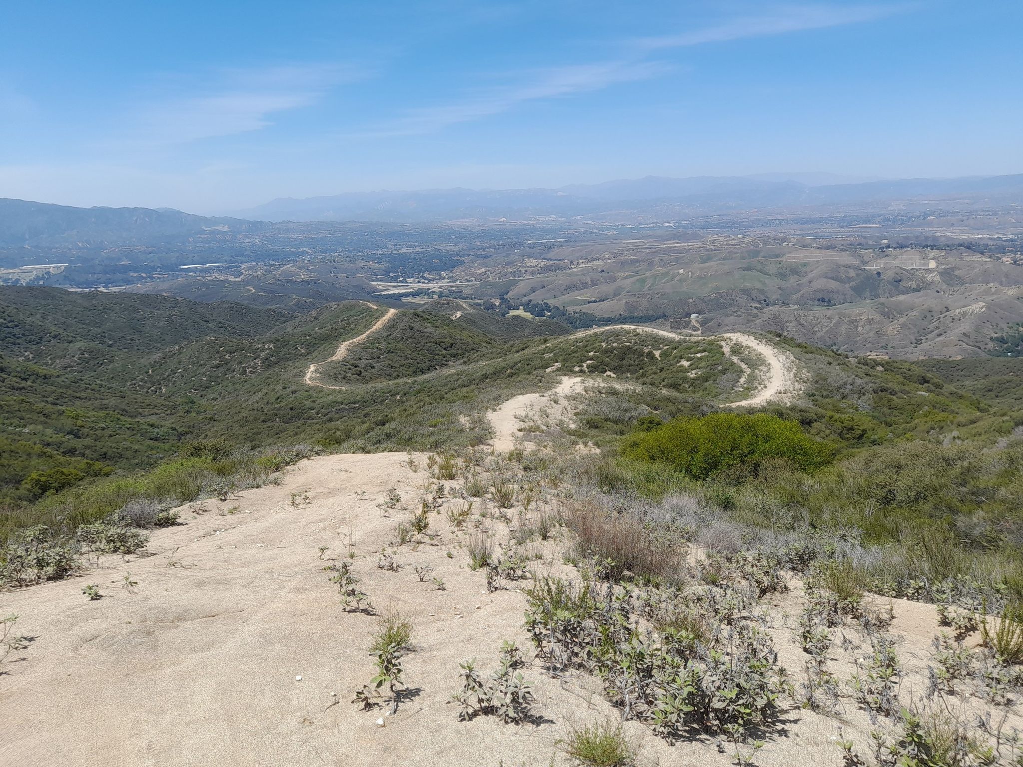 Expansive view of winding dirt trails across green hills and distant valley. - Canyon, Los Pinetos, and Viper Trails Loop