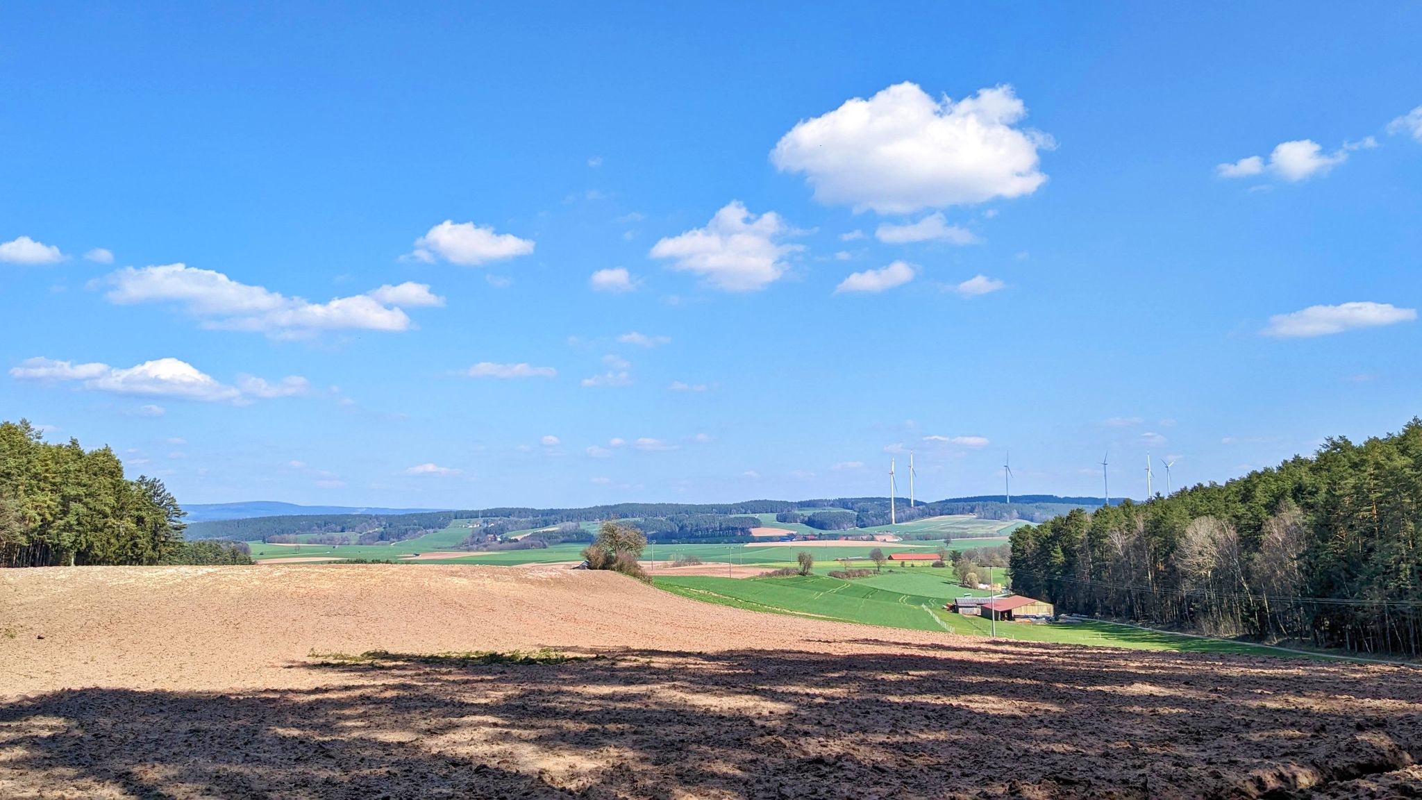 ... schöne Aussicht (li. die Platte (831 m) bei Poppenberg).