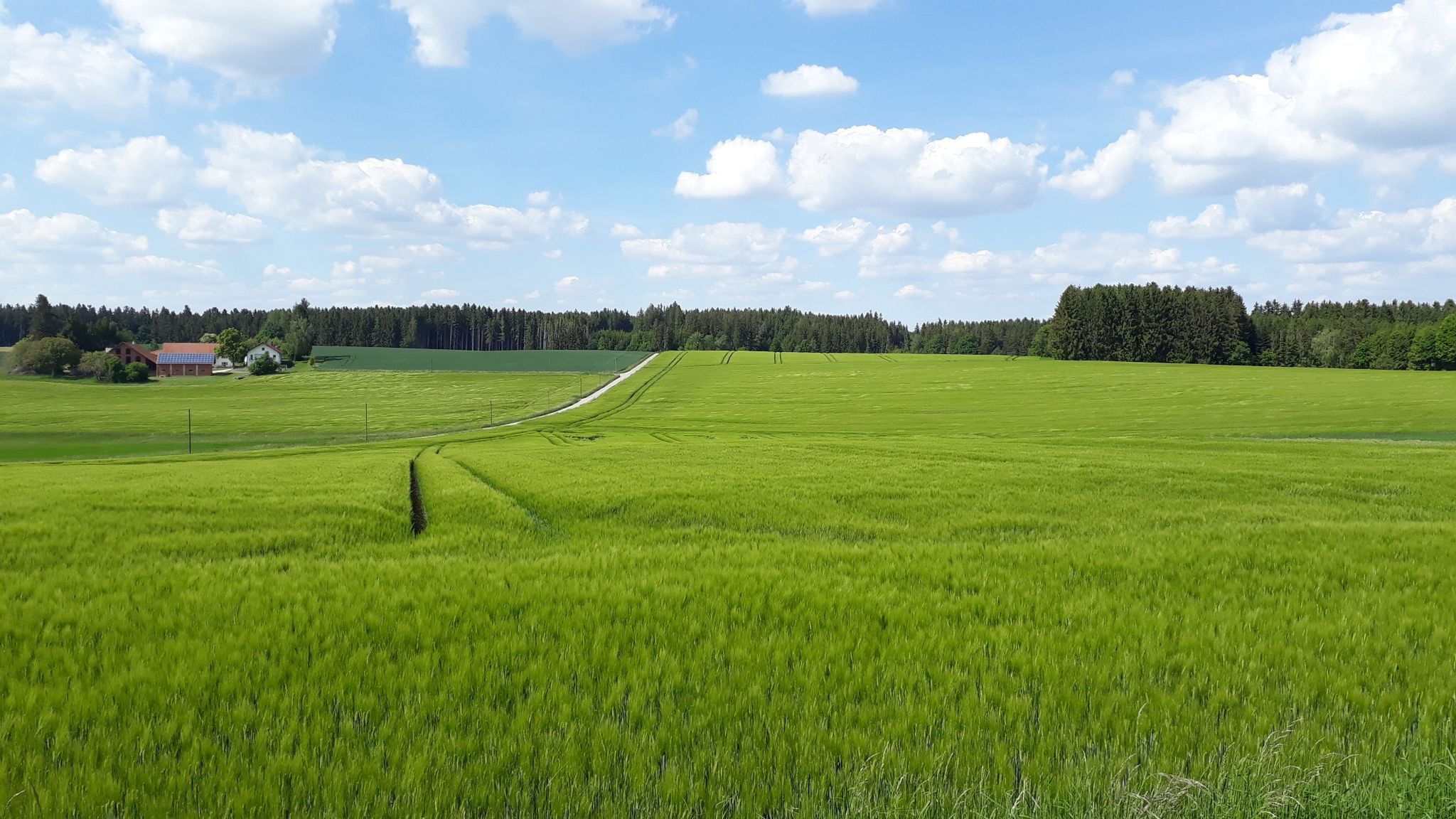 viel Grün