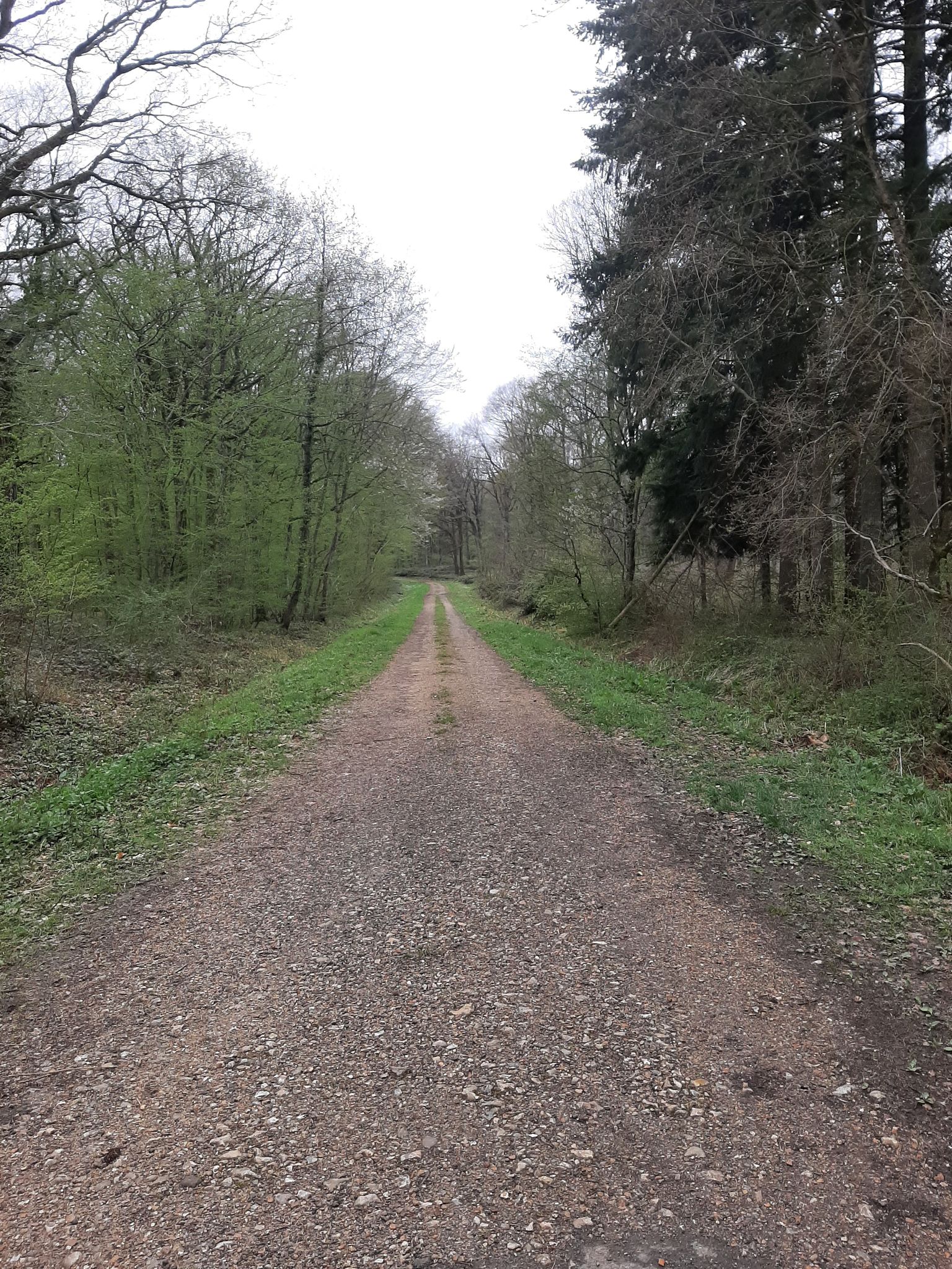 Perfect gravel