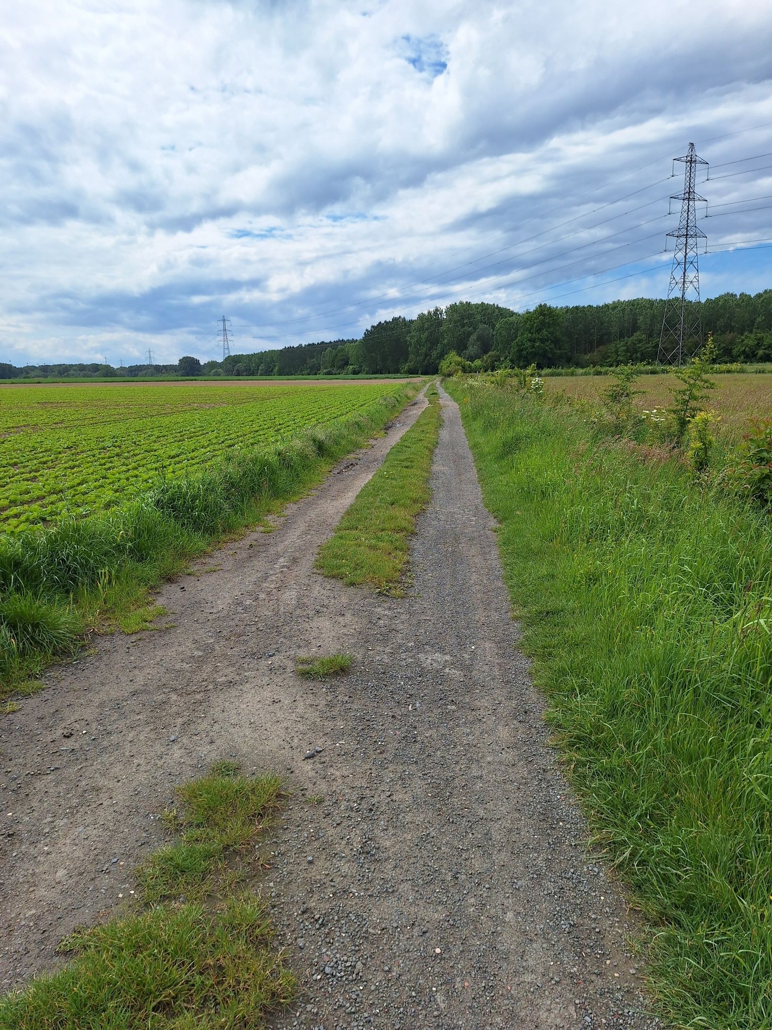 Chemin du Marais