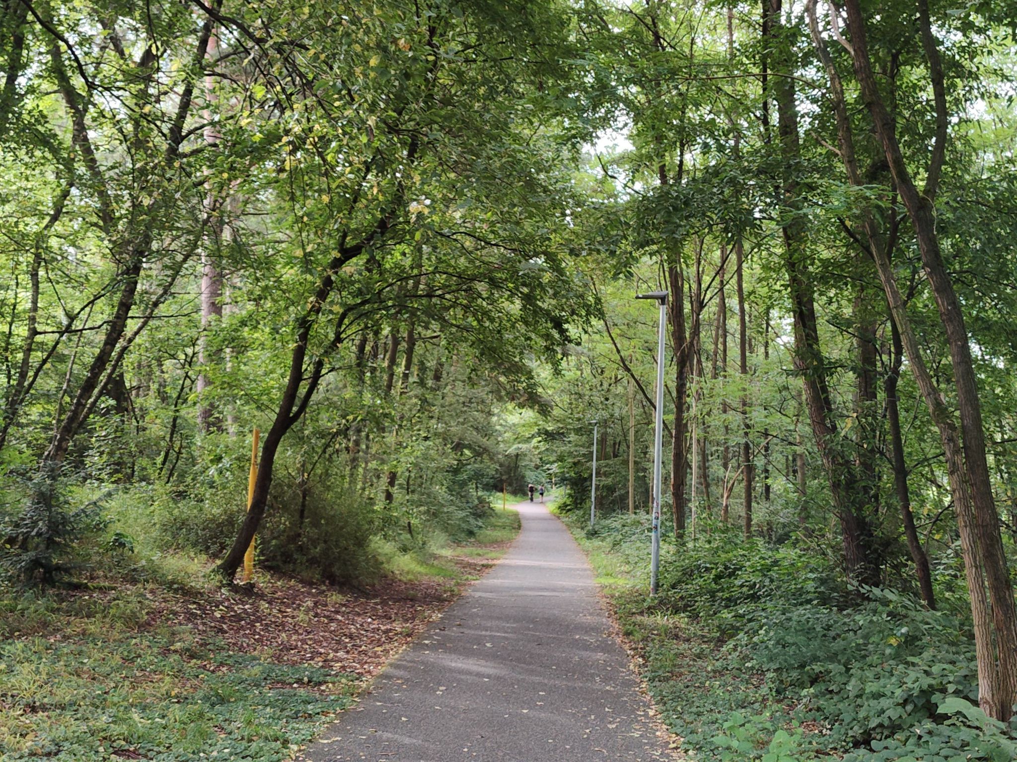 Rad/Wanderweg