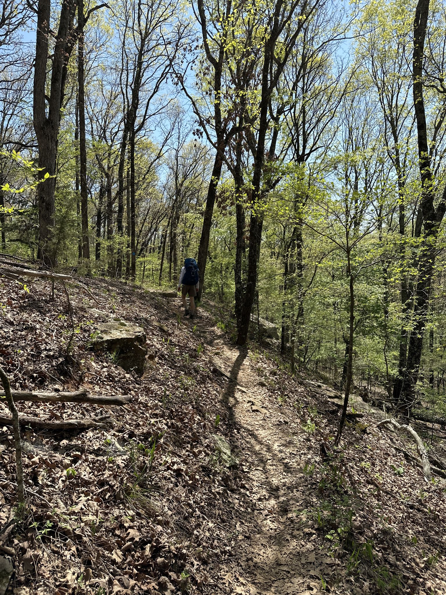 Hiker with a blue backpack walking on a sunlit dirt path in a forest. - Suspension Bridge over Lee Creek loop from Devil's Den State Park