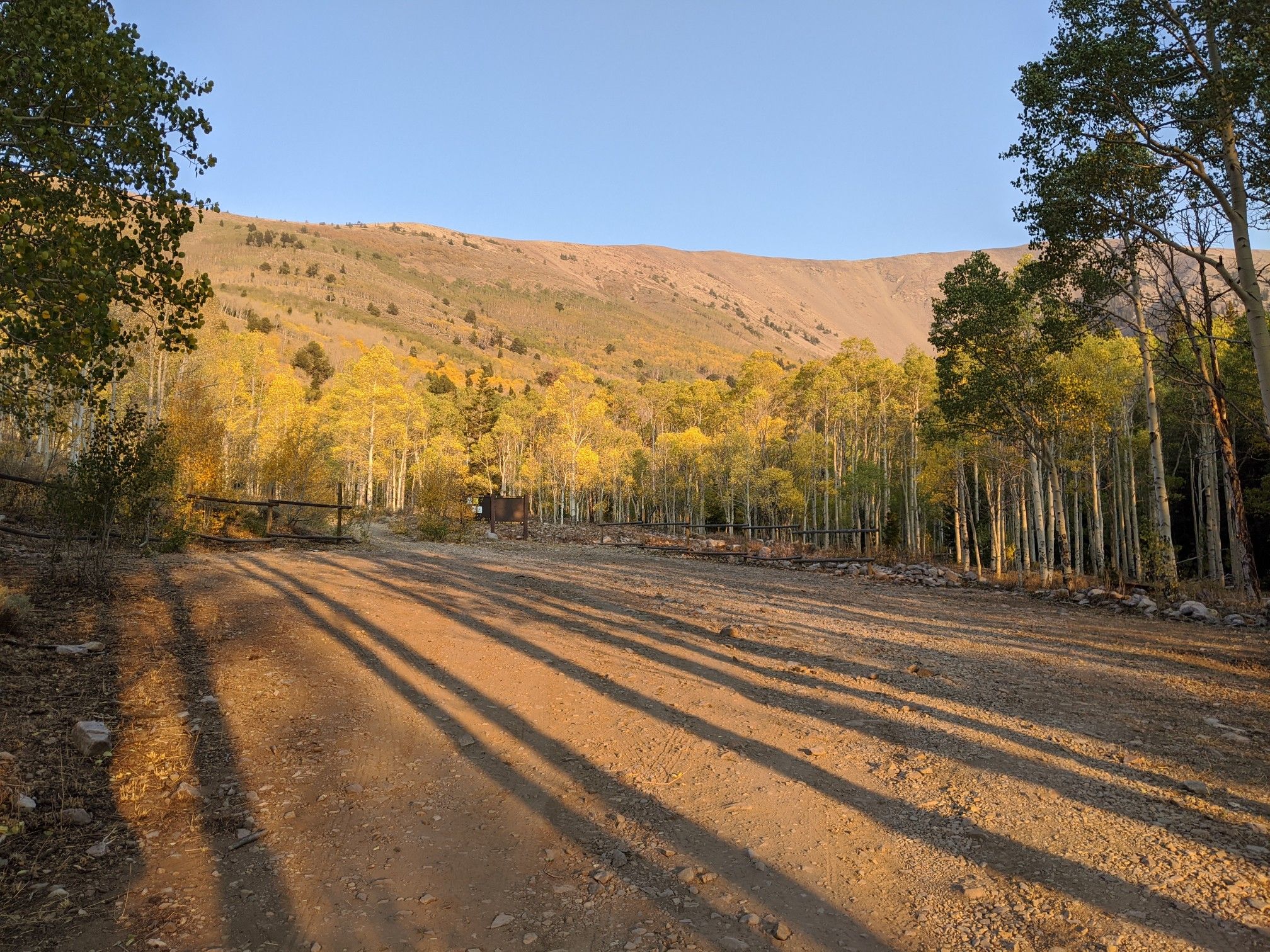 Dirt road with long shadows leading to golden aspen trees and mountains. - North Schell Peak Trail