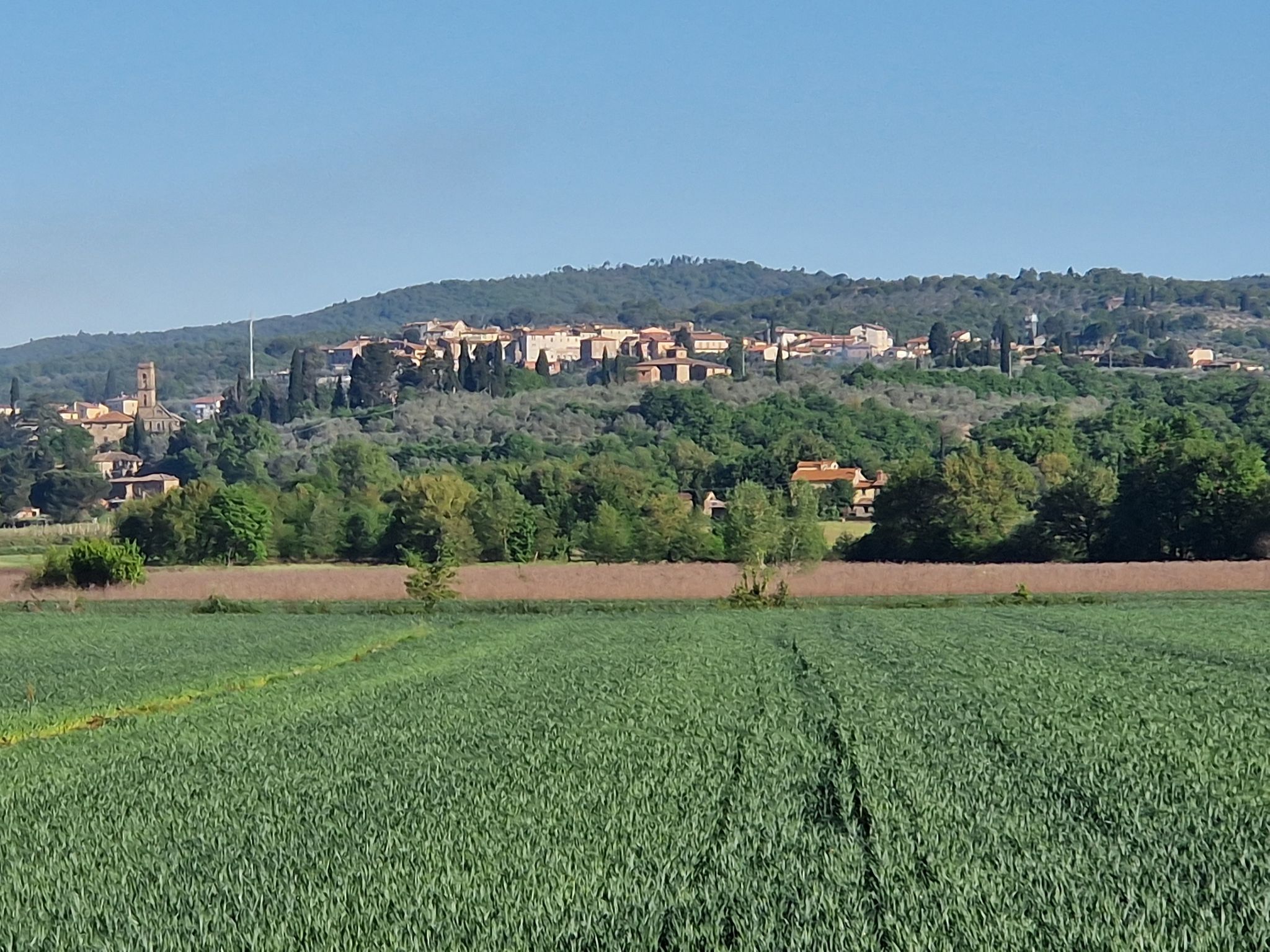 Panorama Ciggiano