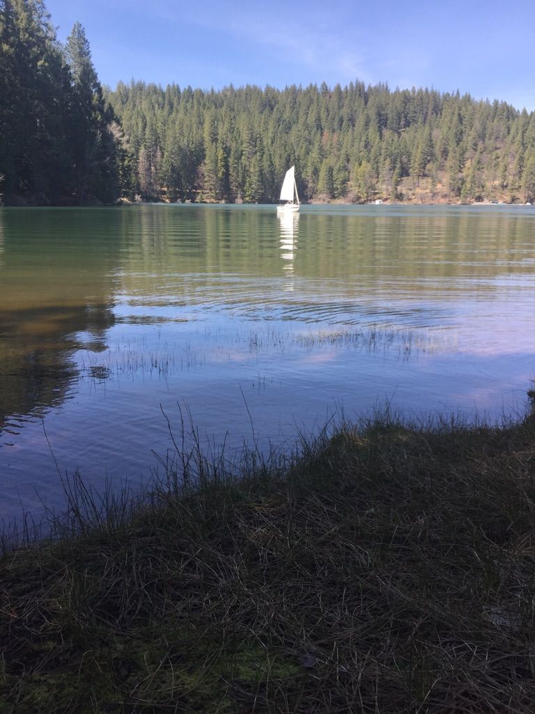 Sailboat on a calm lake, surrounded by a dense forest. - Jenkinson Lake loop from Sly Park Dam