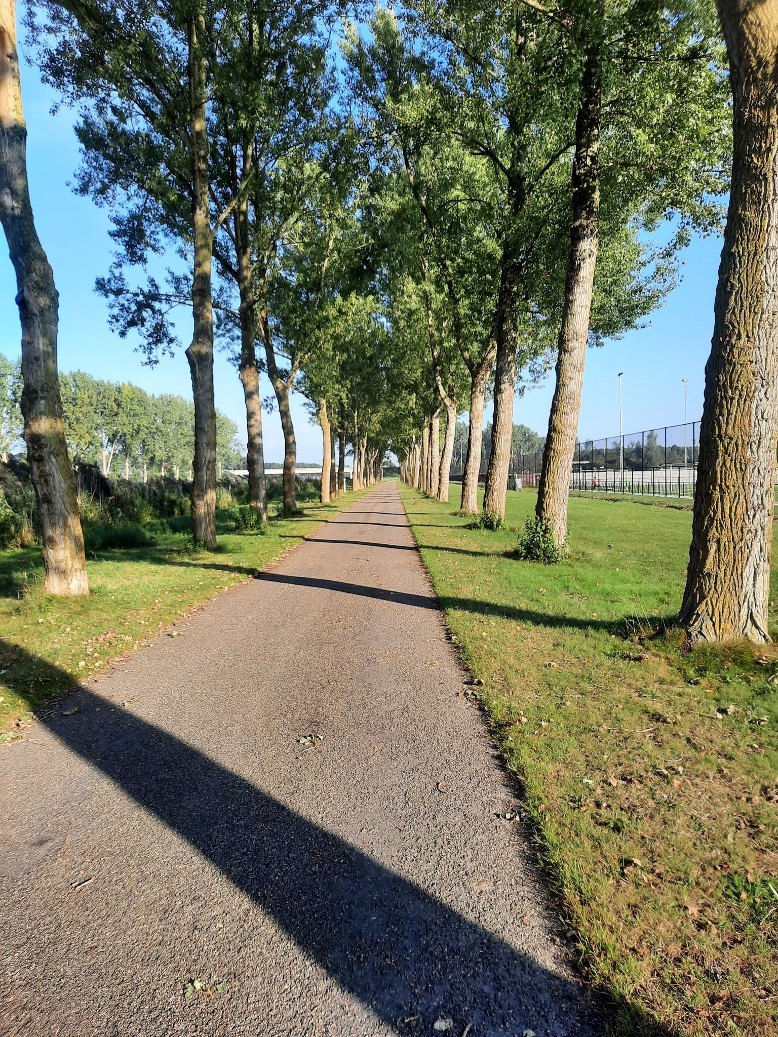 triathlonpad