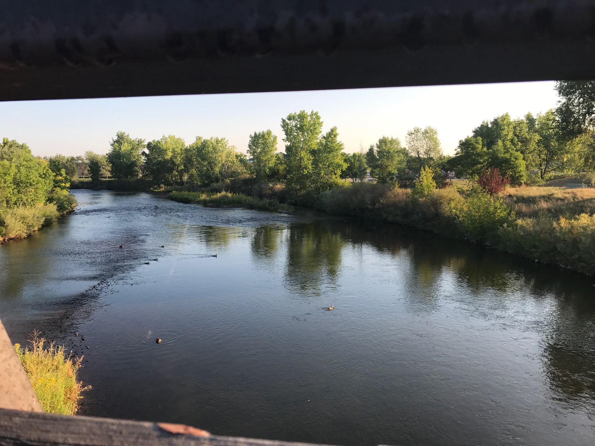 A river with ducks, green trees, and reflections under a sunny sky. - Running loop from South Broadway & West Chenango Avenue