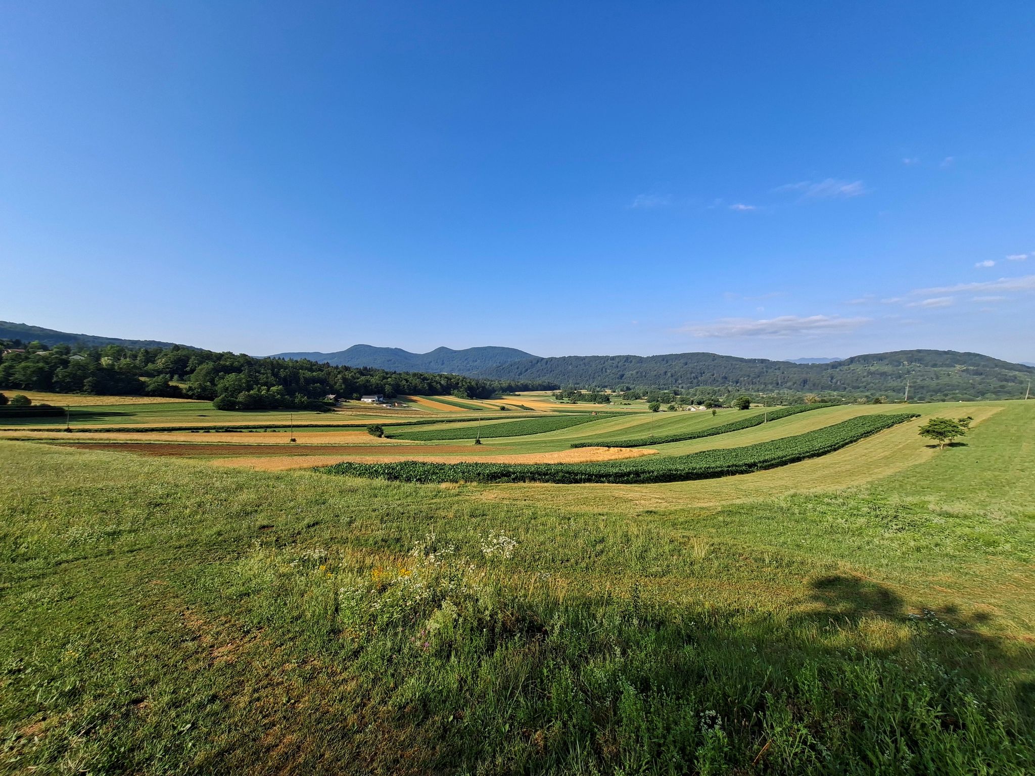 Radensko polje