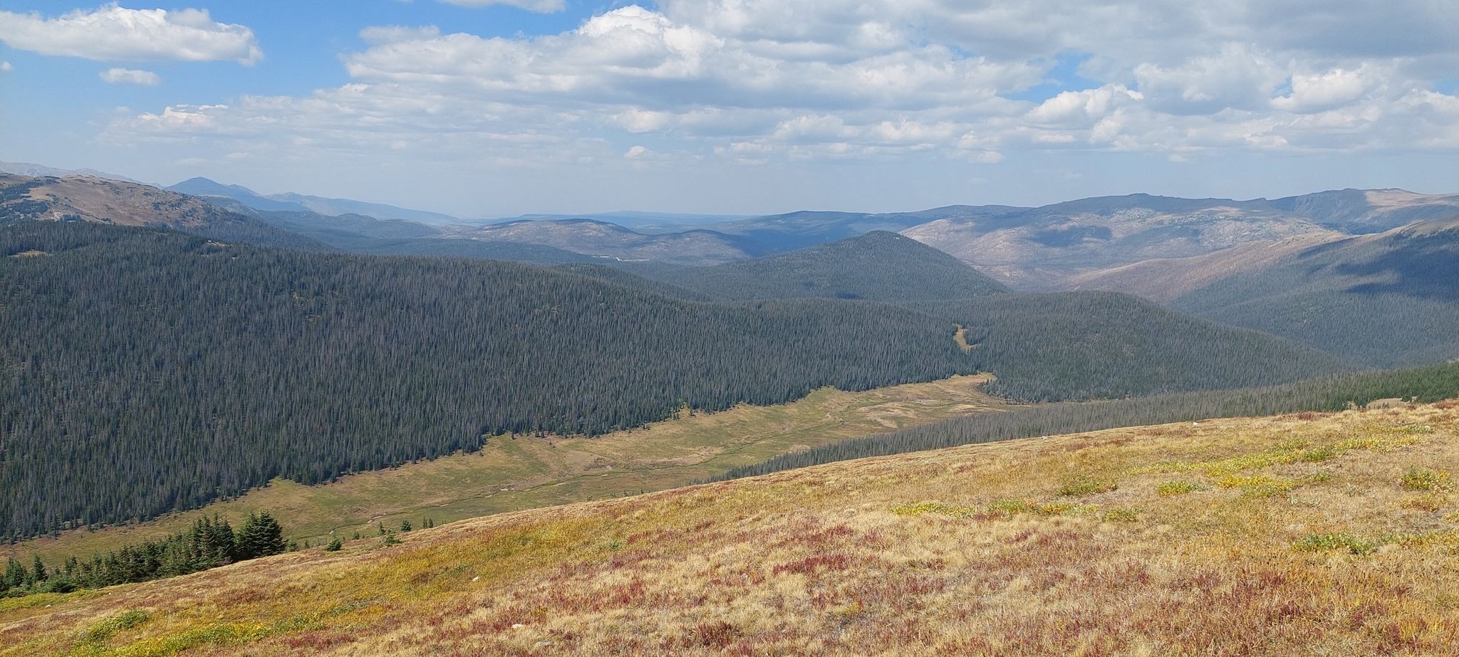 Vast forested mountain landscape with a grassy valley under a cloudy sky. - Marmot Point Trail