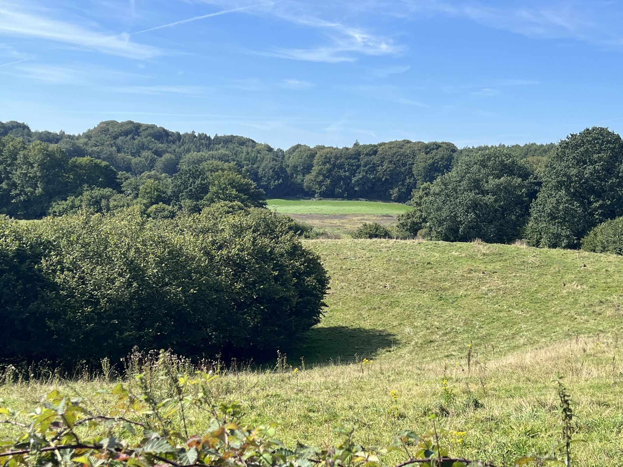 Blick in das Eidertal