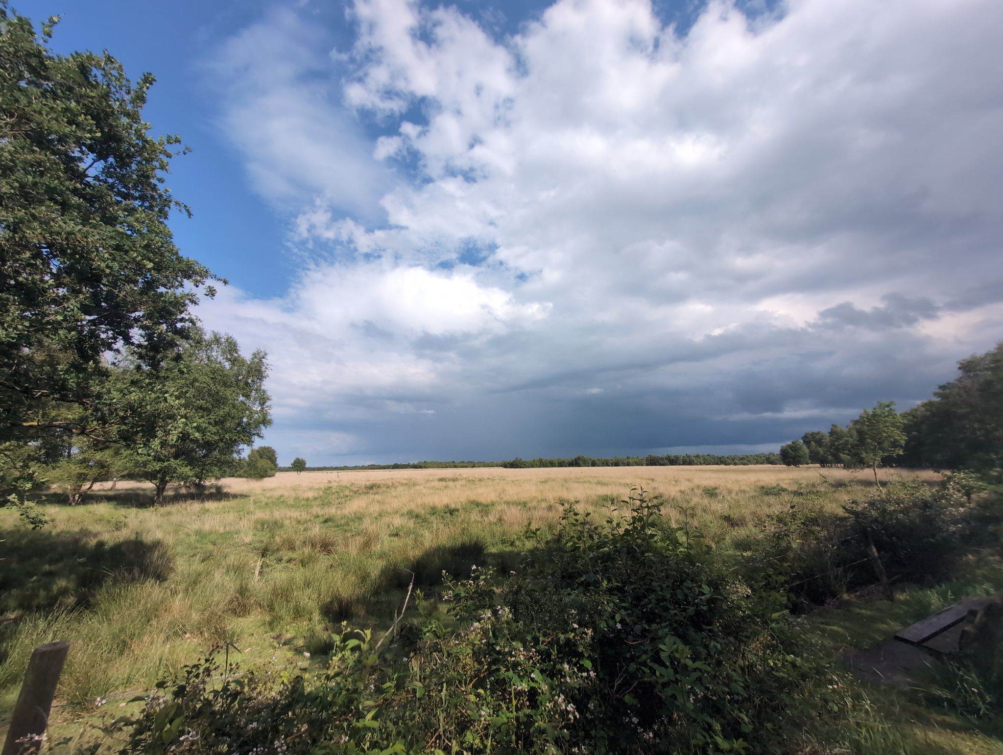 weite Wiesen
