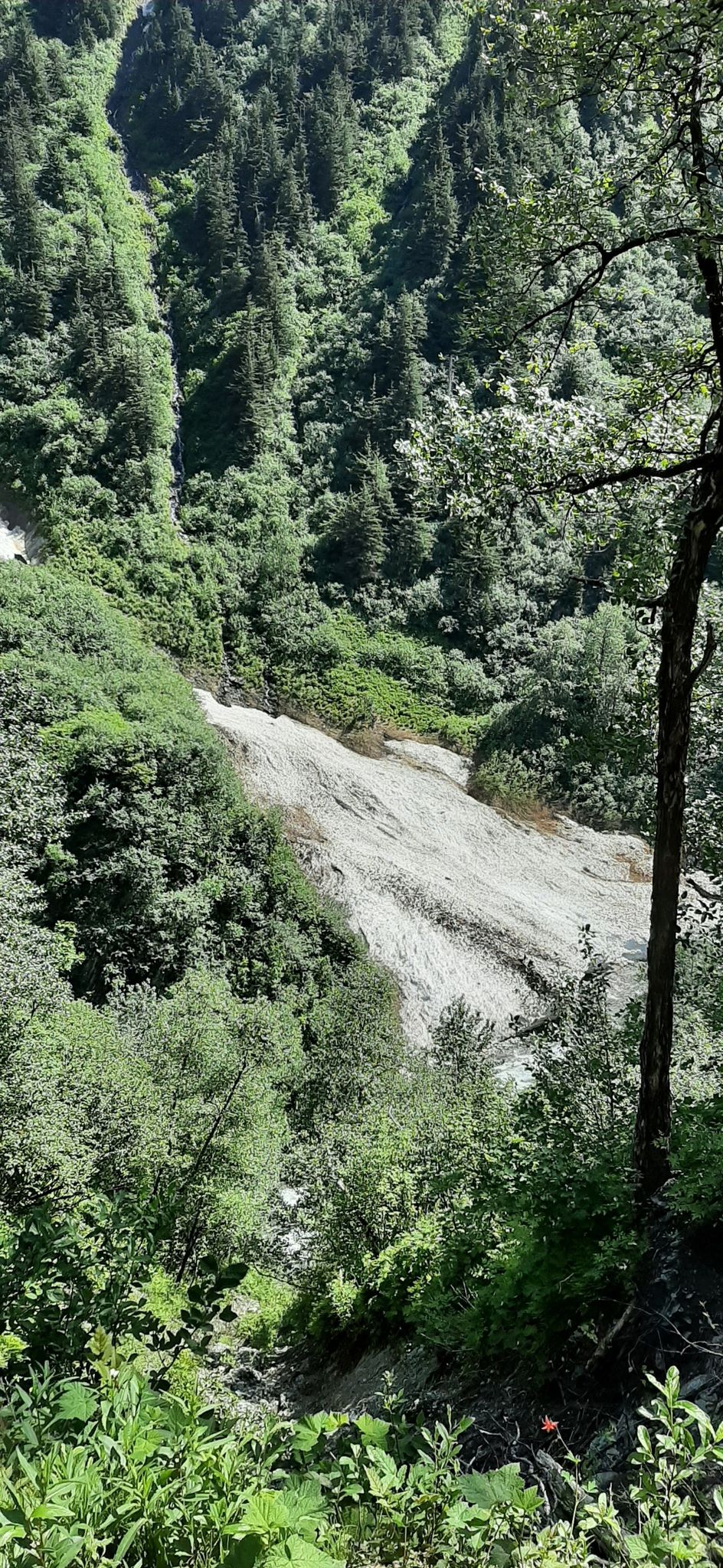 A wide waterfall cascades down a rocky slope amidst lush green forest. - Perseverance Trail