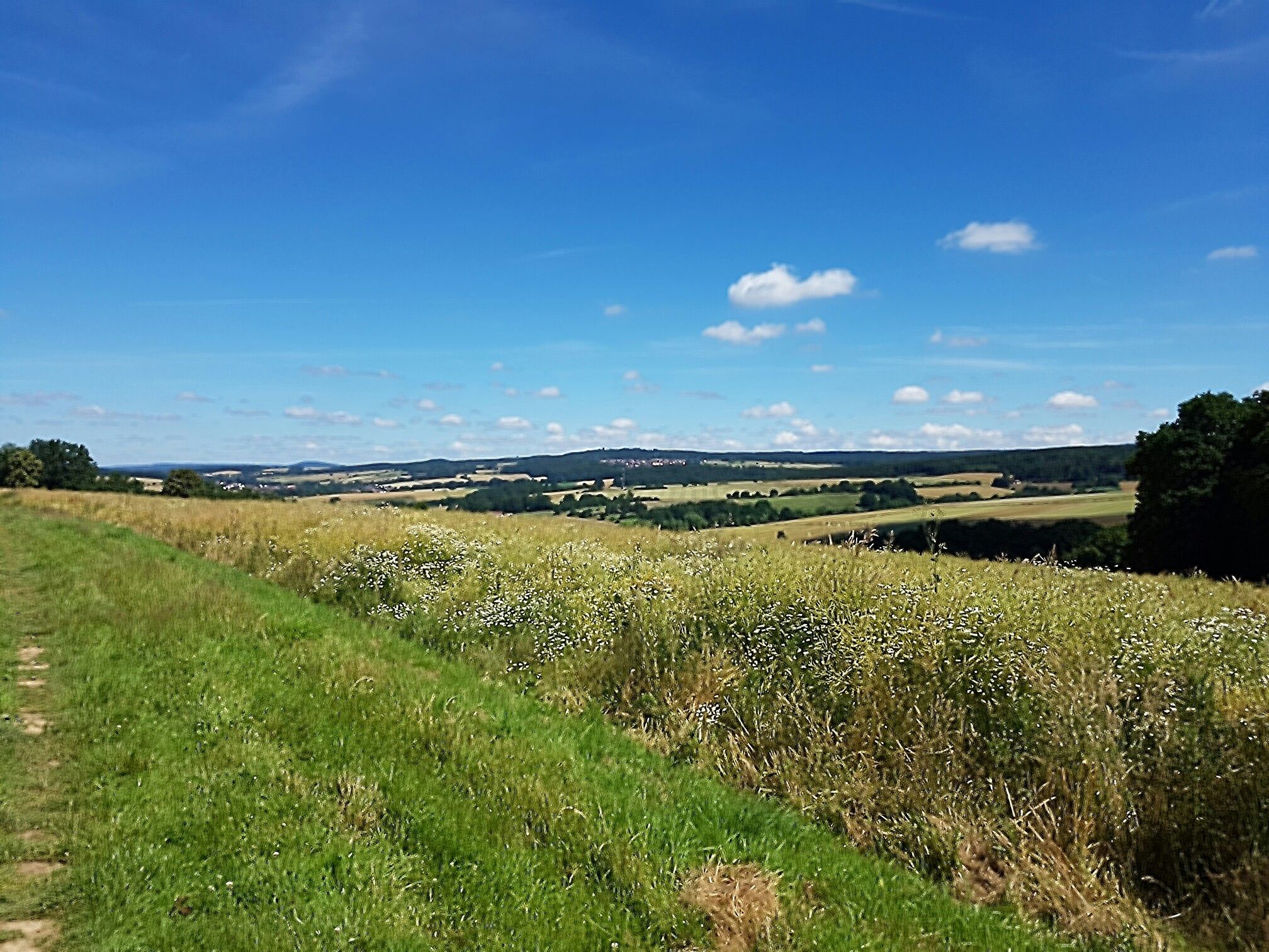Blick auf Sichelnstein