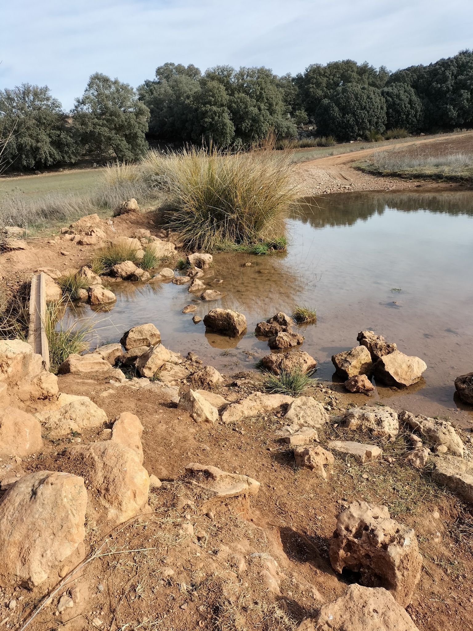 rio el Salido