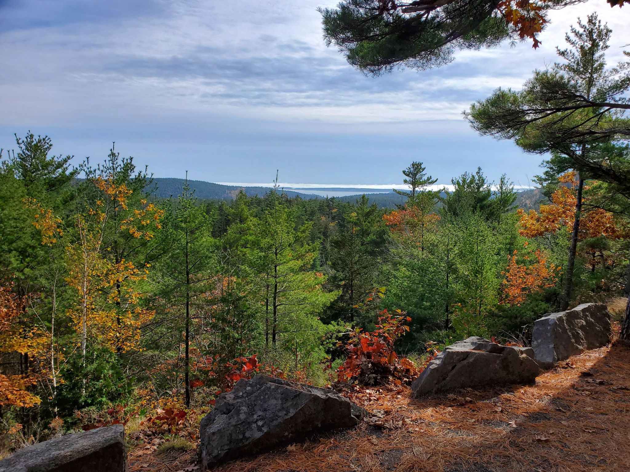 Forest with green and orange trees, distant water, under a cloudy sky. - Jordan Pond Gatehouse – Stone bridge loop from Mount Desert Island