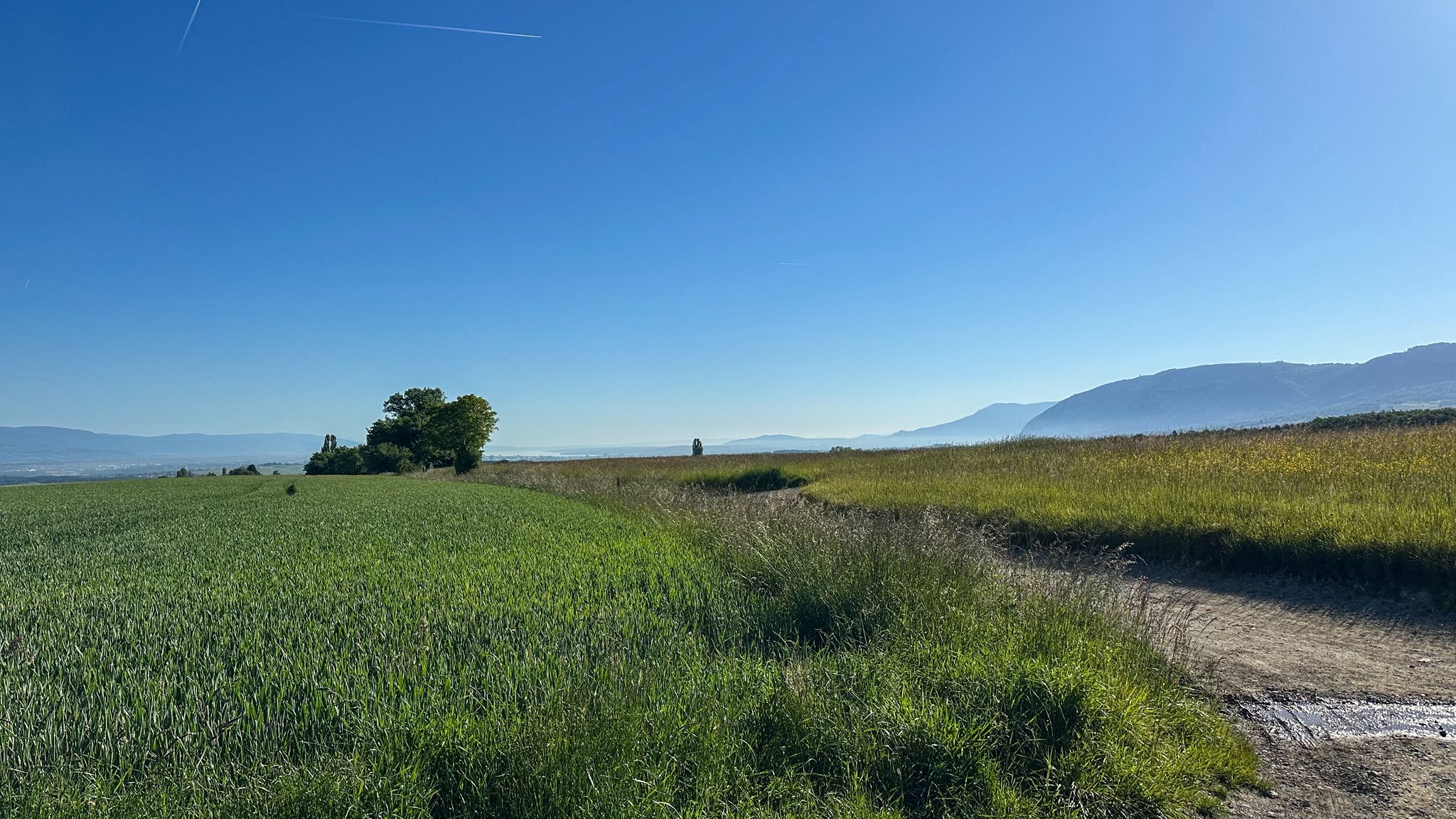 …Rückblick auf den Genfersee🥹…