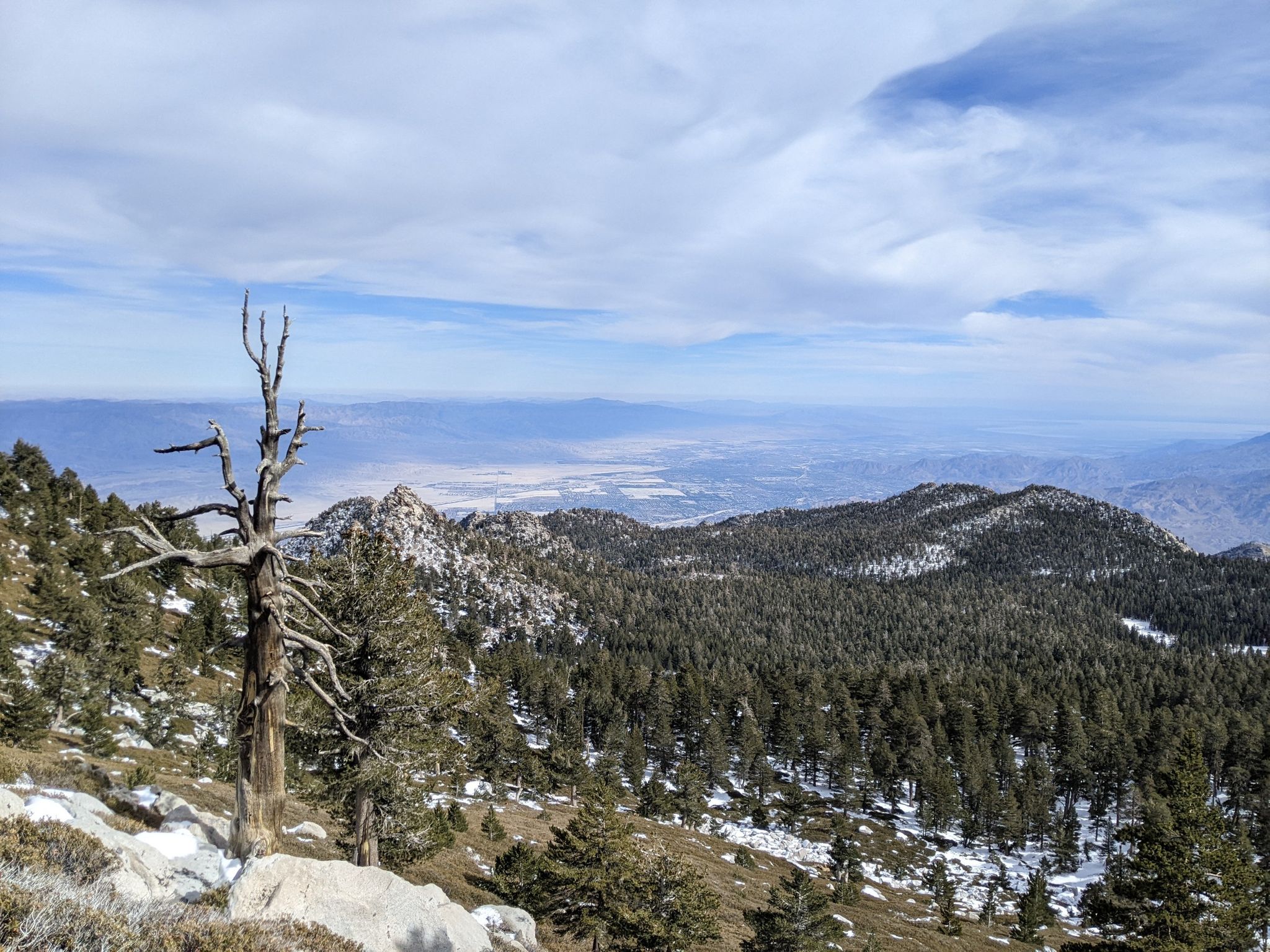 Dead tree on snowy mountain slope overlooking a vast valley under cloudy sky. - San Jacinto Peak and Round Valley Loop
