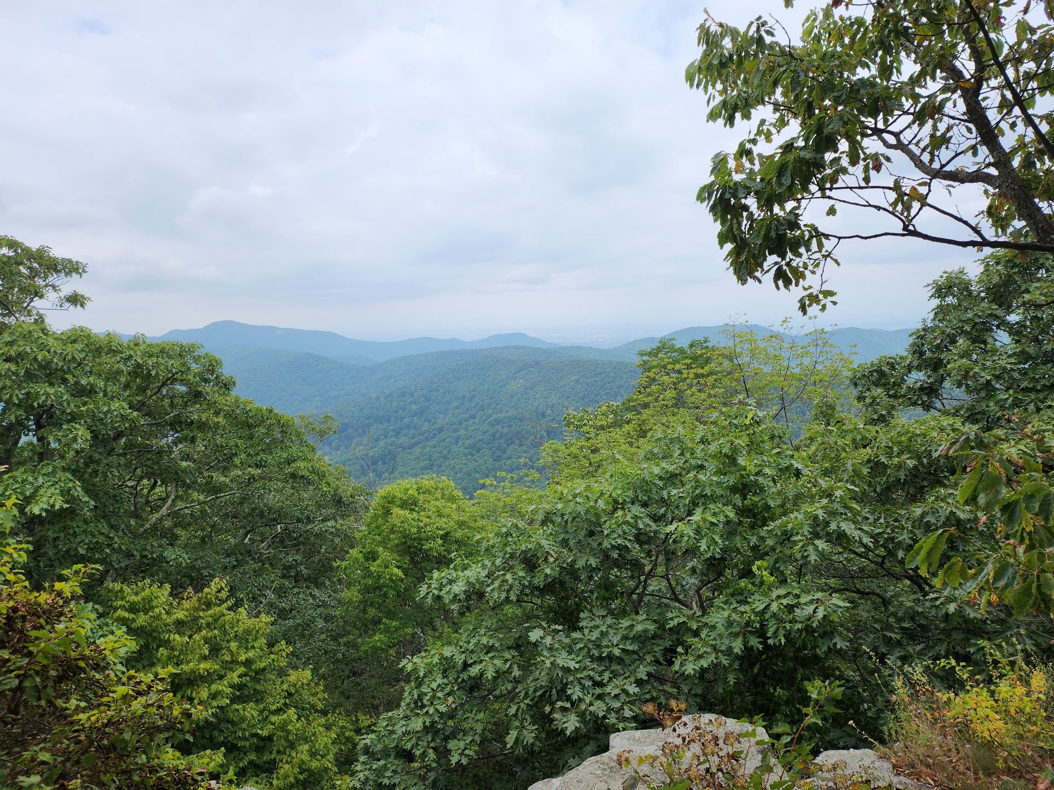 Dense green forest covers rolling mountains under an overcast sky. - Big Run, Doyles River, and Frazier Trail Loop