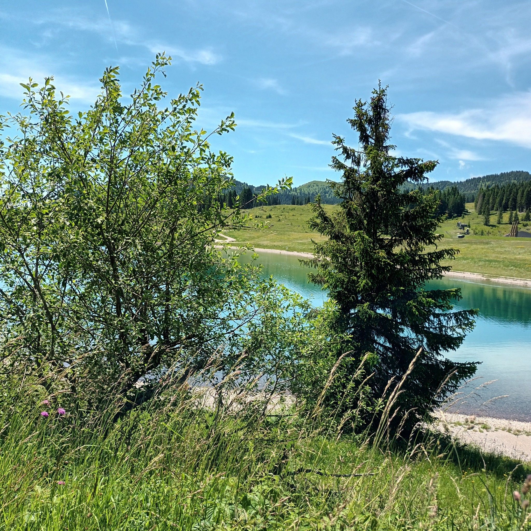Lago Coe