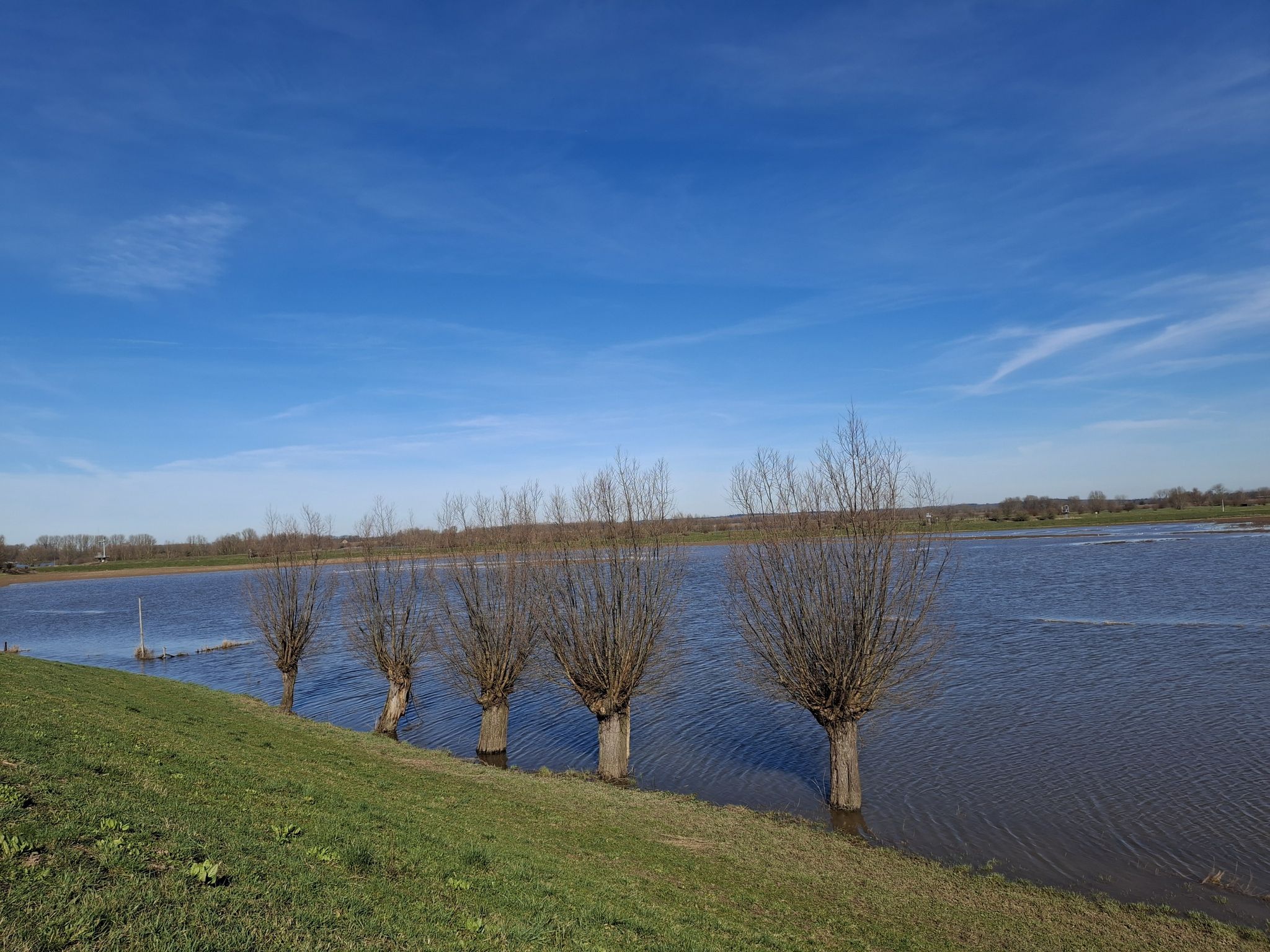bij Maurik