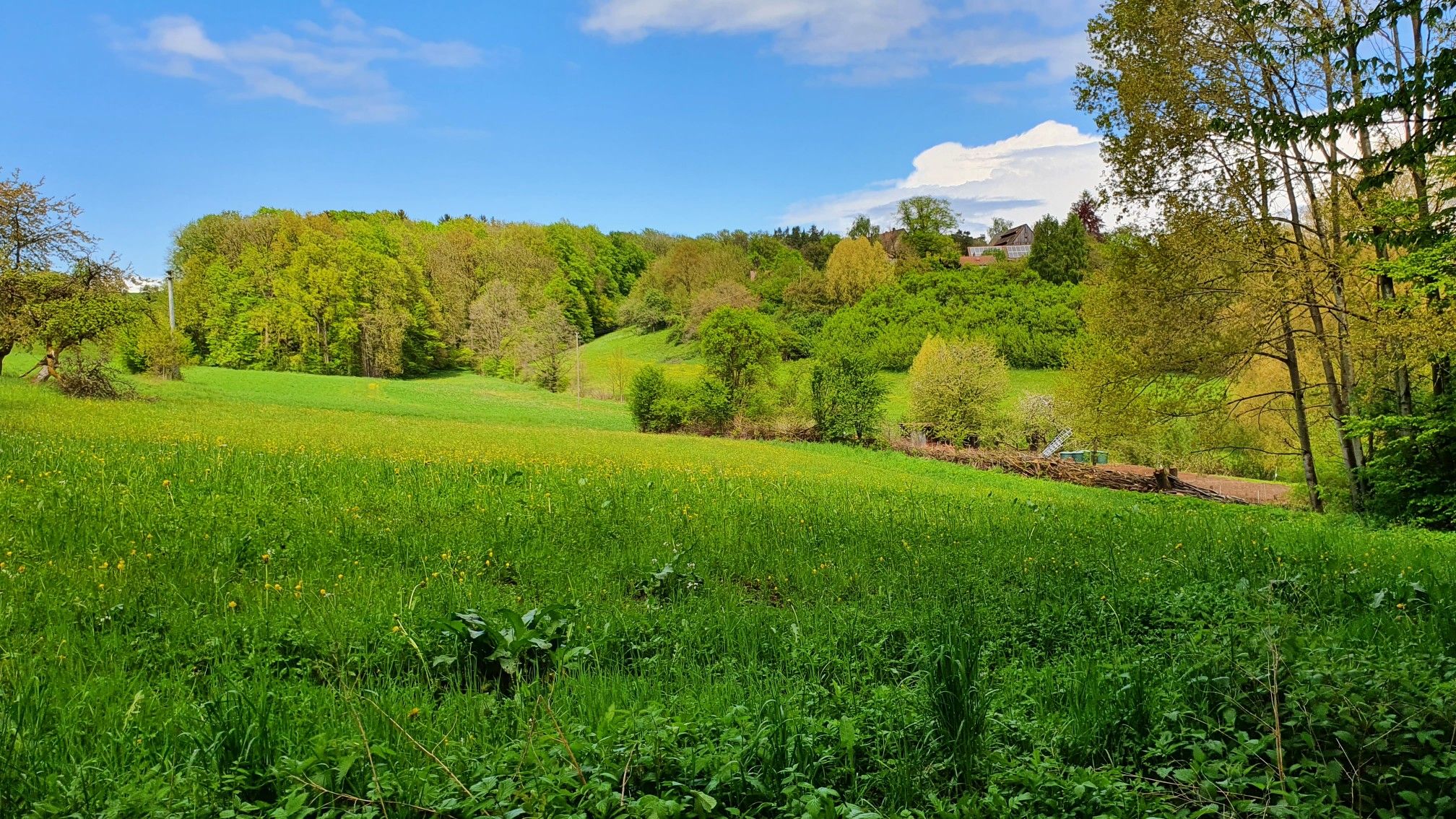 Blick Richtung Günthersbühl