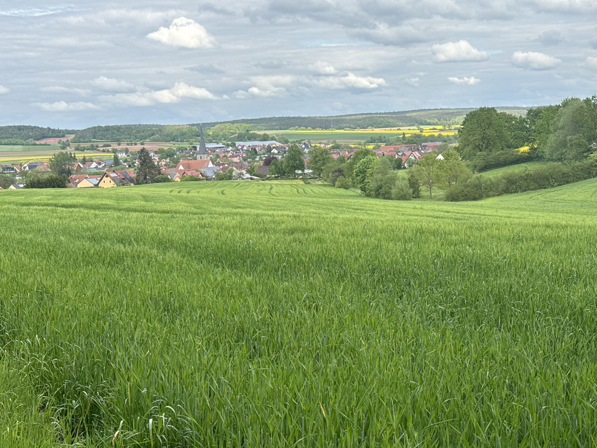 Ein Blick zurück auf Ampferbach
