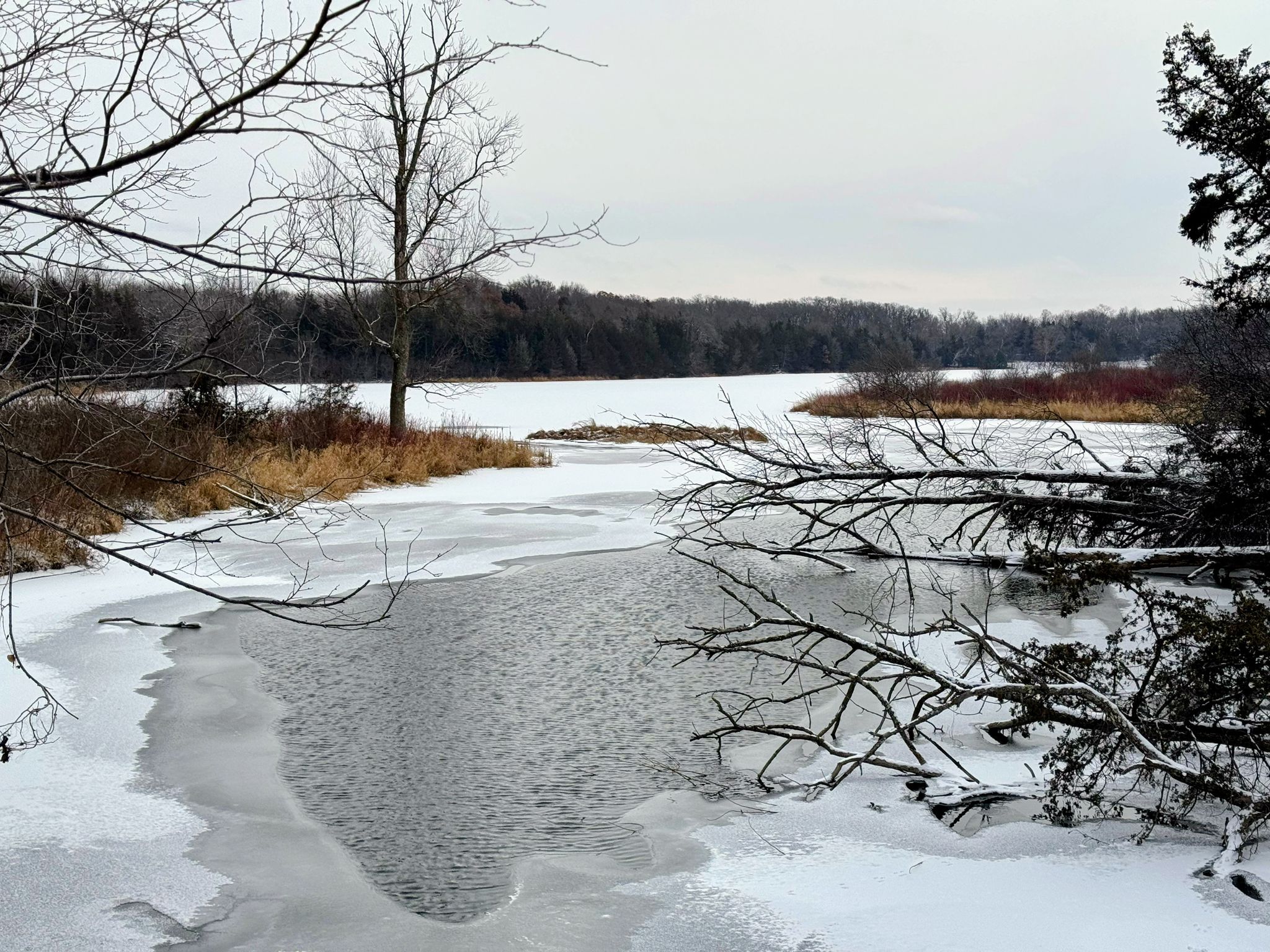 Partially frozen lake with snow-covered banks and bare trees under an overcast sky. - Warner Lake Loop