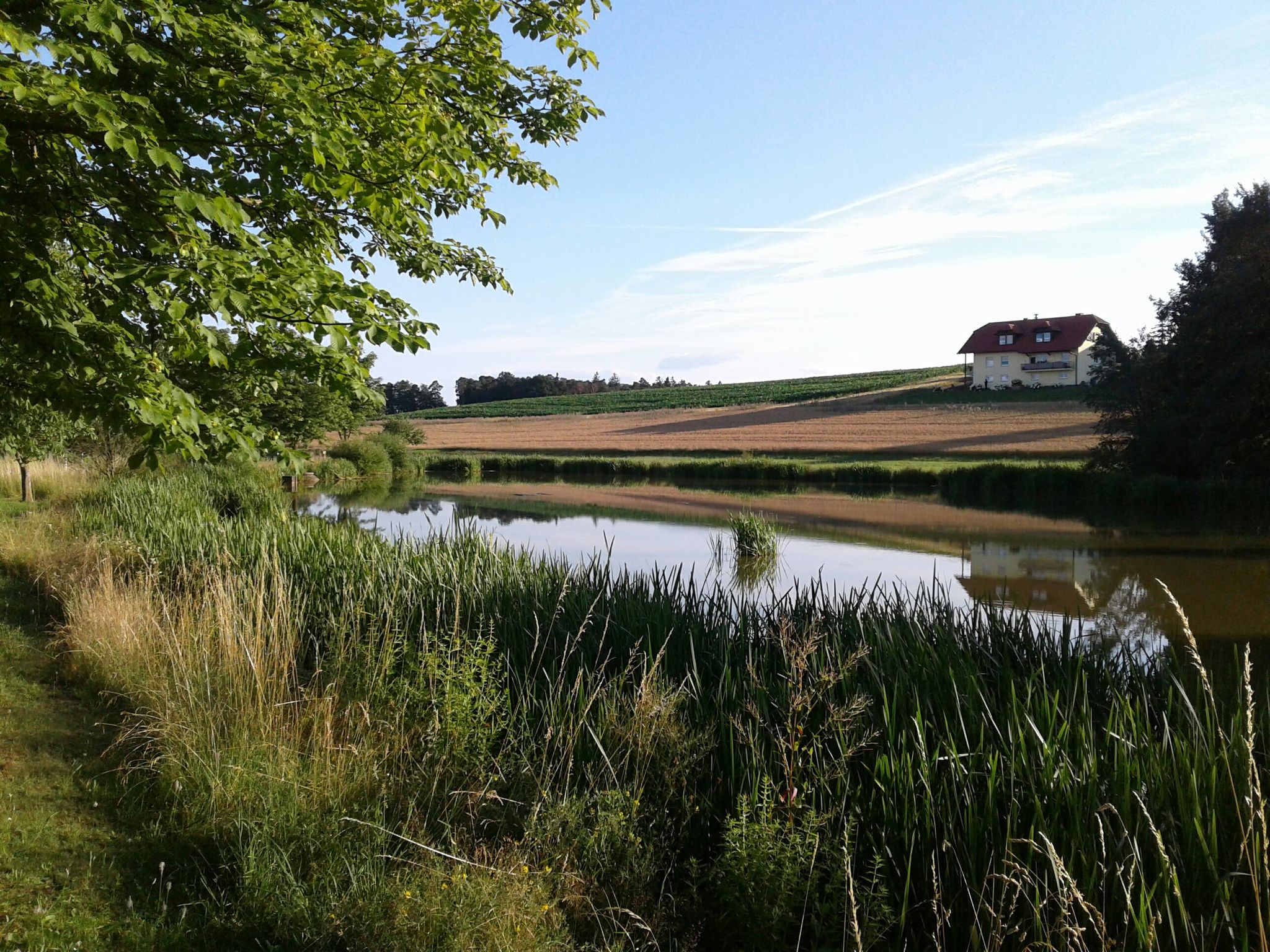 See bei Völkersleier