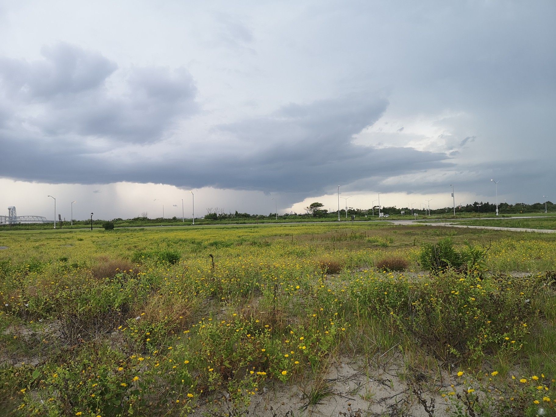 Expansive green field under a dramatic, cloudy sky with distant rain. - Rockaway Beach – Jacob Riis Park Beach loop from Rockaway Park–Beach 116th Street