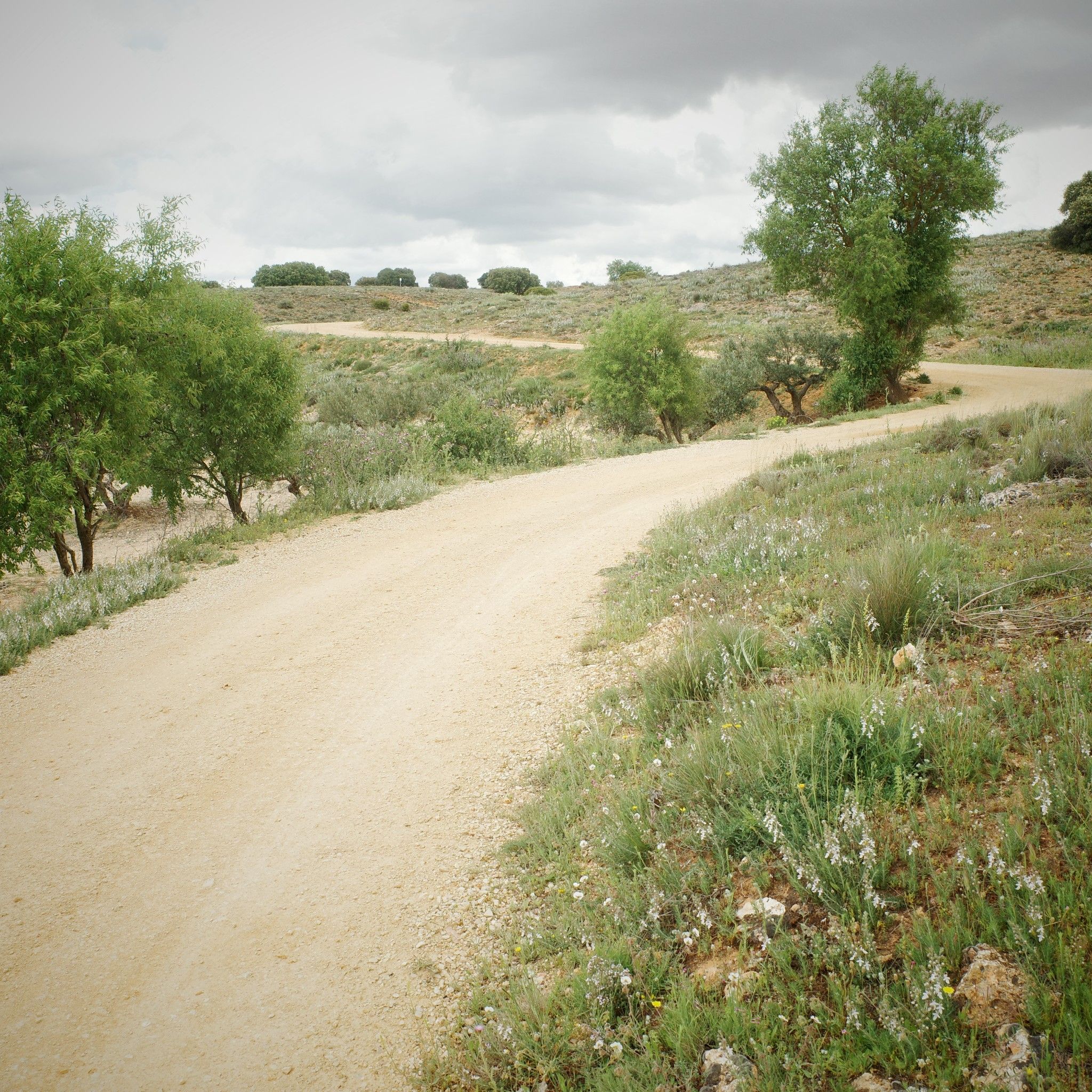 Montée vers les moulins de Mota del Cuervo