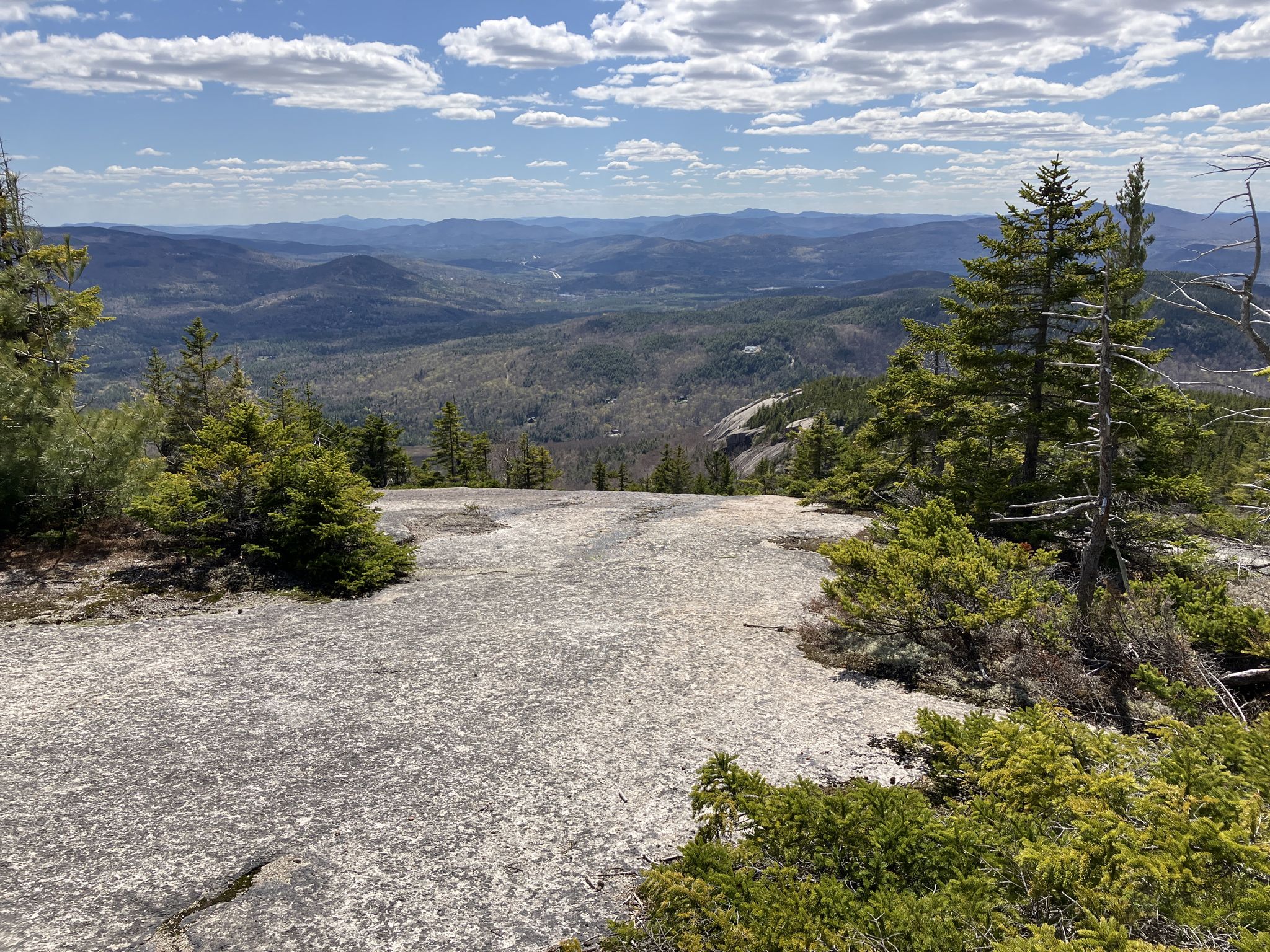 Rocky mountain top with scattered evergreens, overlooking a wide forested valley under blue sky. - Welch-Dickey Loop Trail