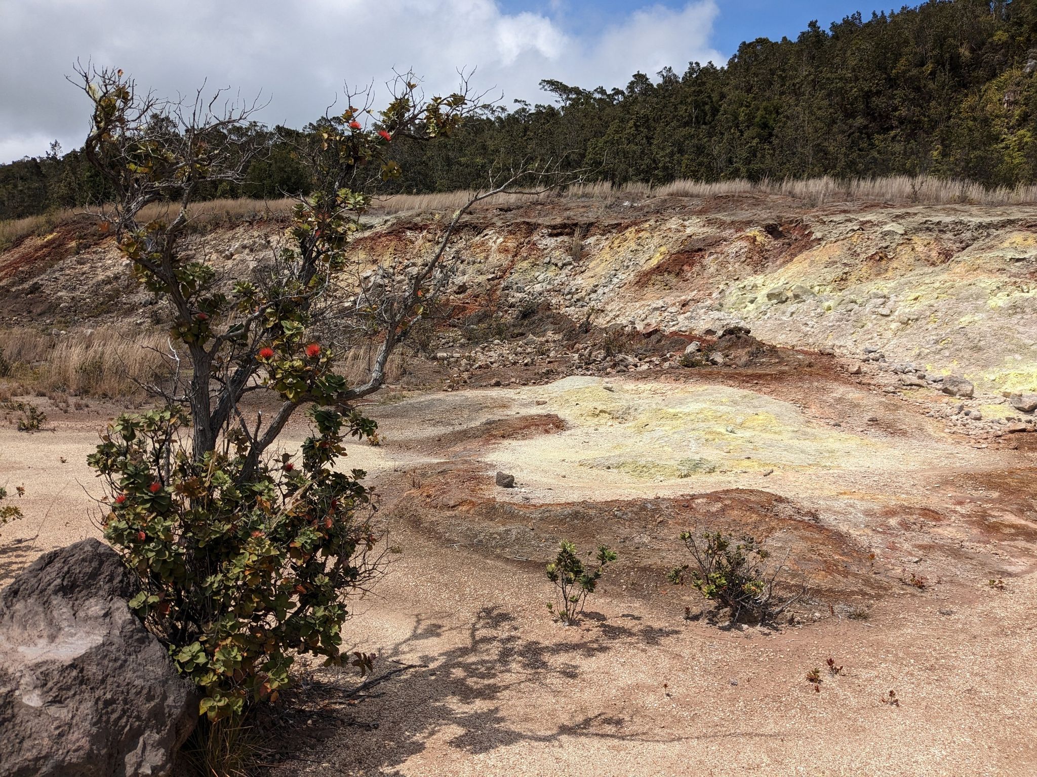 Barren volcanic landscape with colorful mineral deposits and sparse plants under a cloudy sky. - Crater Rim Trail