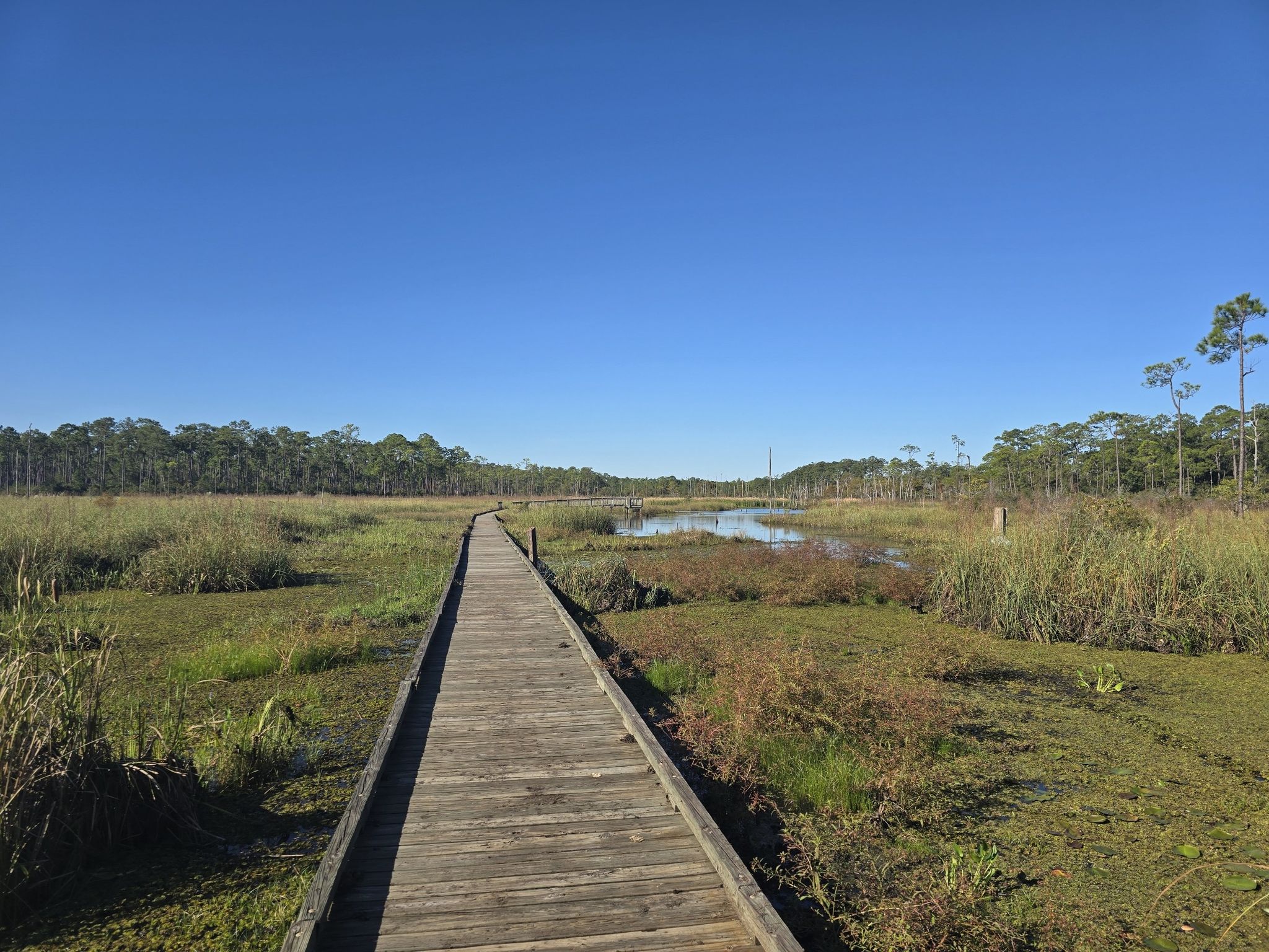 big branch marsh