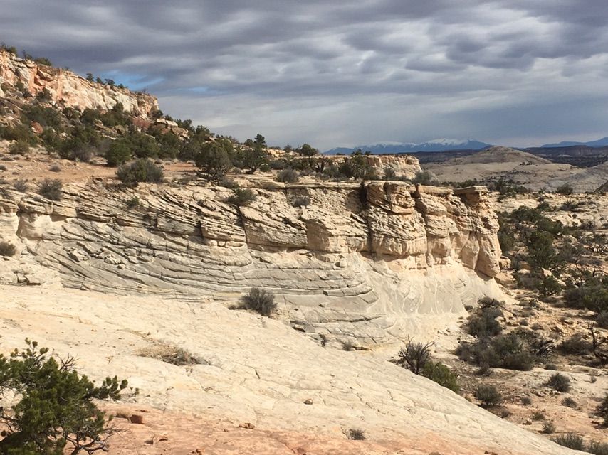 Layered light-colored rock cliff face with sparse desert plants under clouds. - Escalante Overlook Trail
