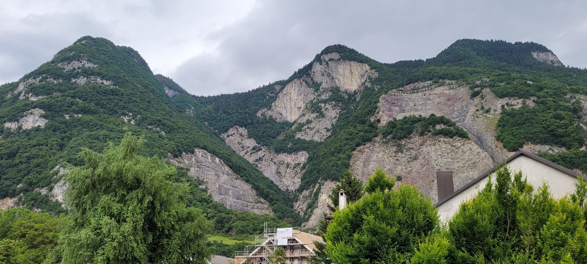 Roche