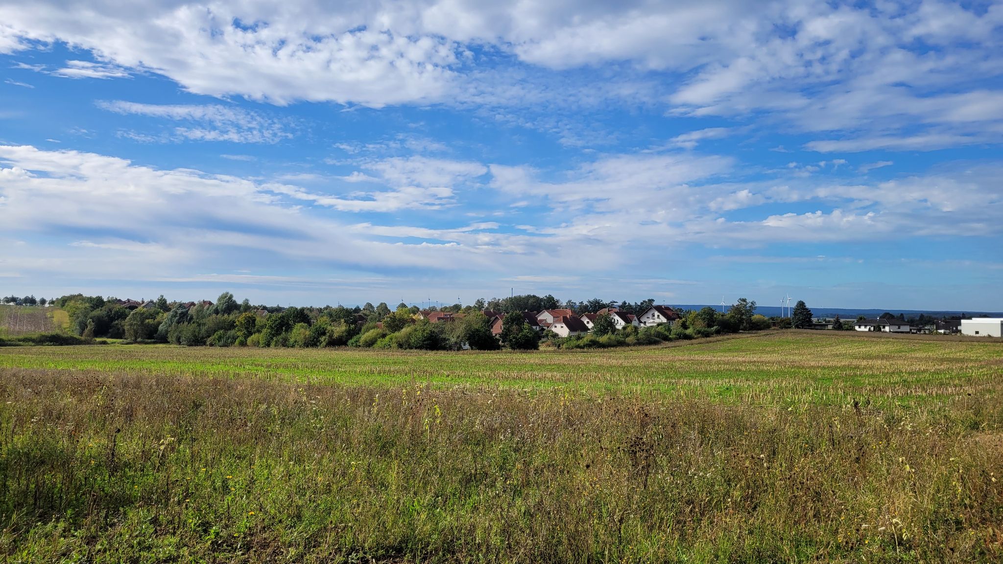 mittig Brocken, rechts Elm