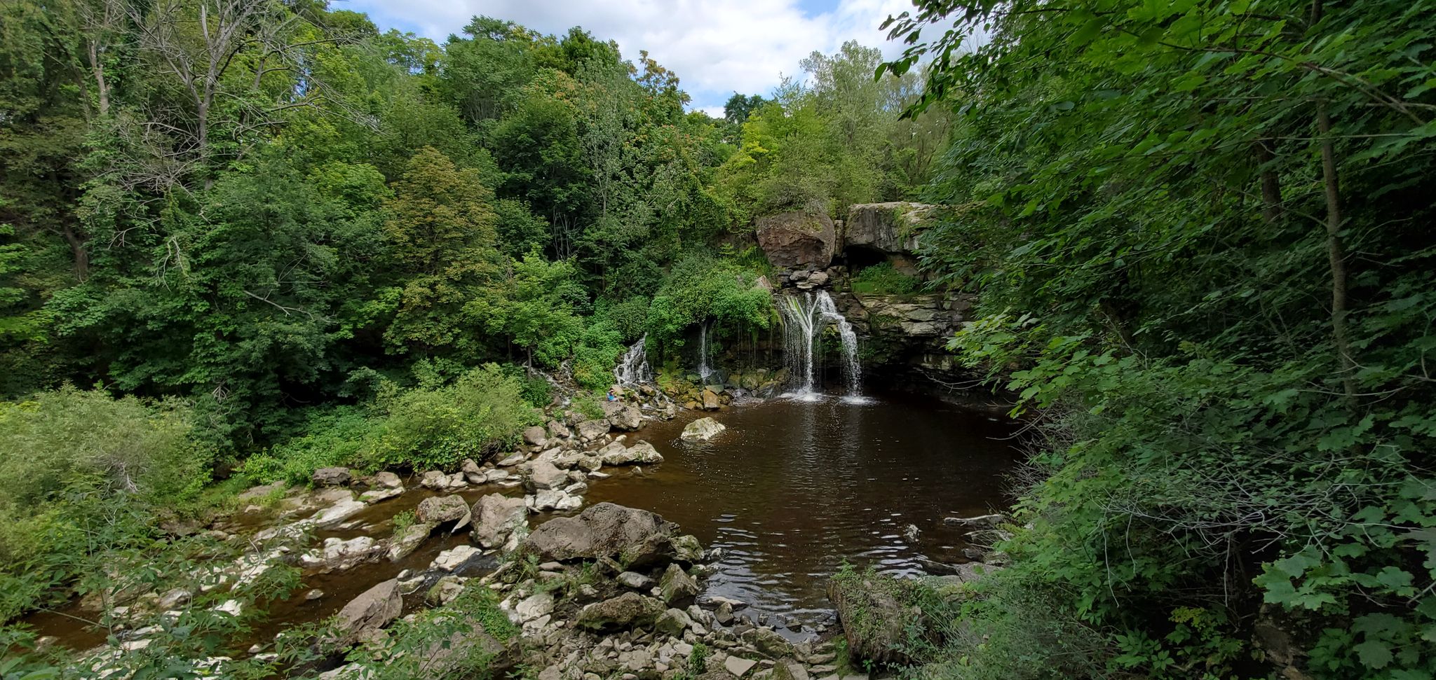 A waterfall cascades into a dark pool surrounded by lush green forest and rocks. - Conservation Trail