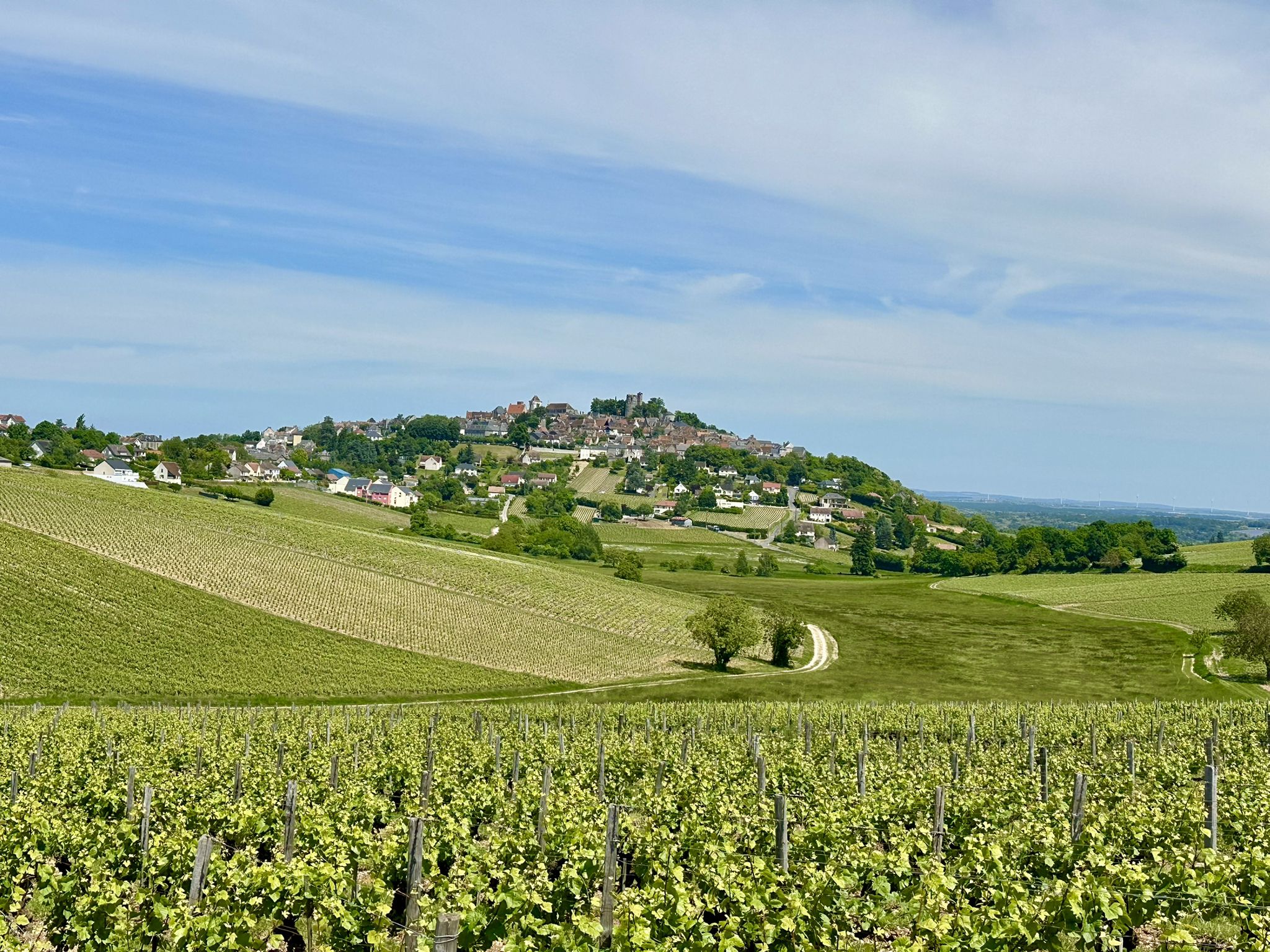 Weinberge vor Sancerre