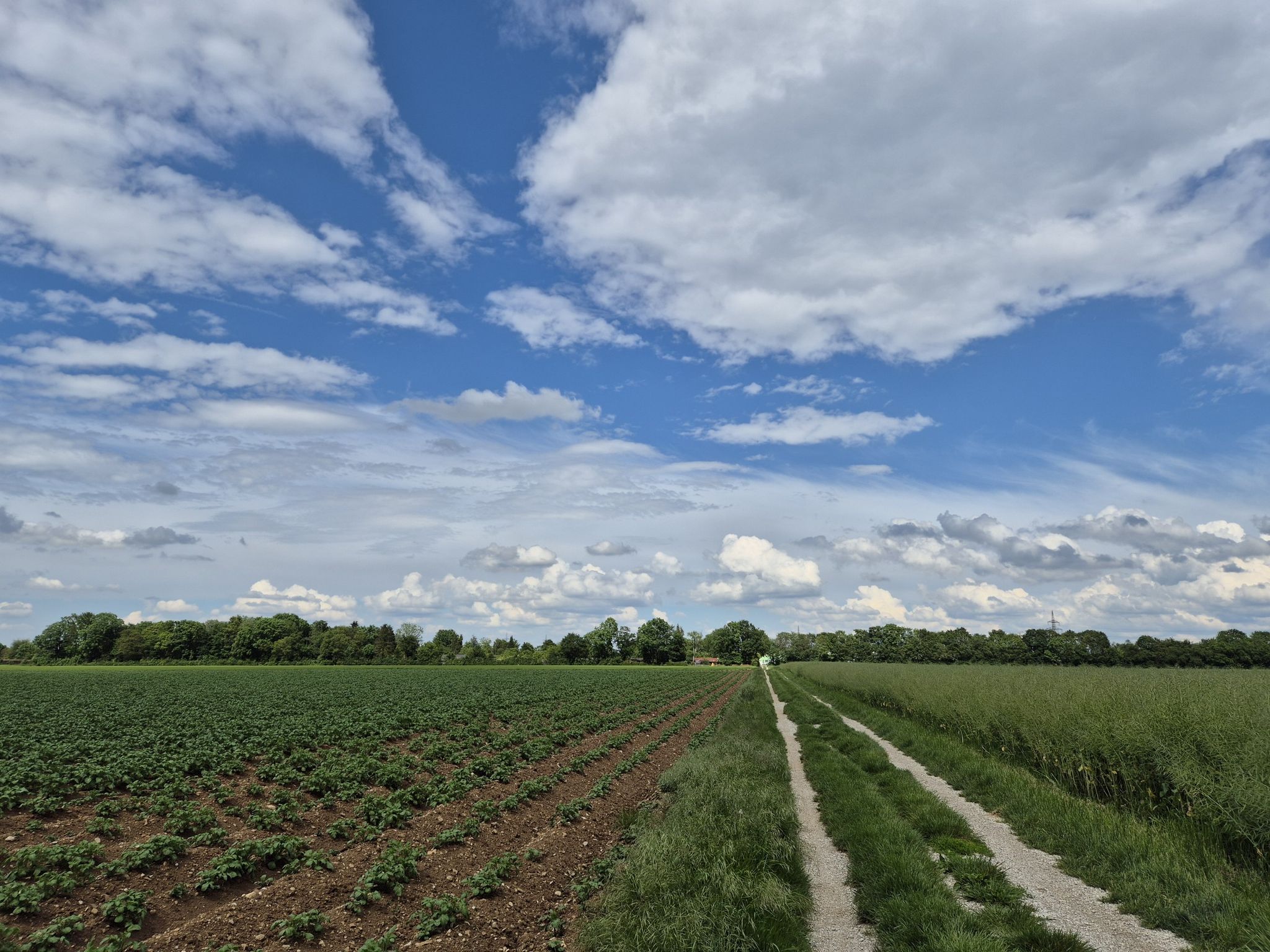 Richtung Siedlung Grub