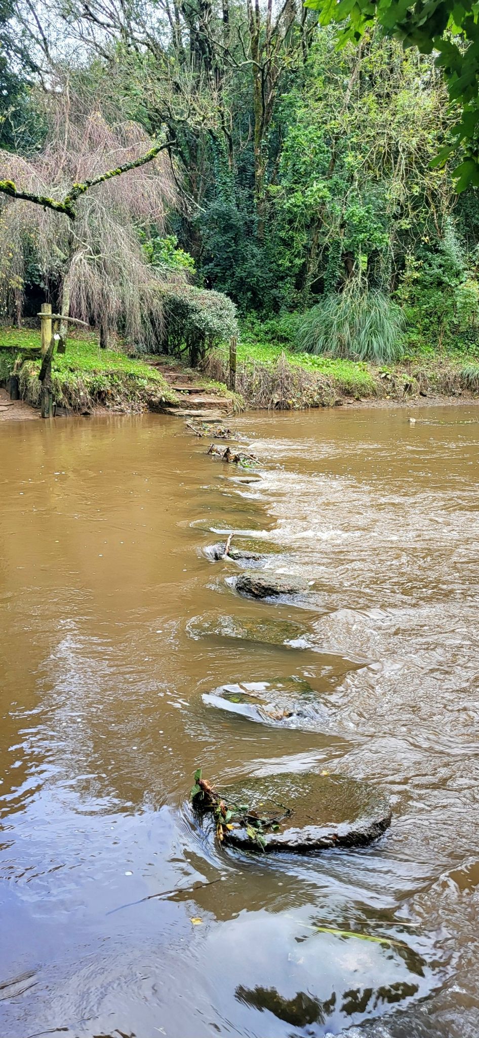 Theoretisch sind die "stepping stones" eine nette Abkürzung bei Ebbe, aber nicht nach dem vielen Regen!