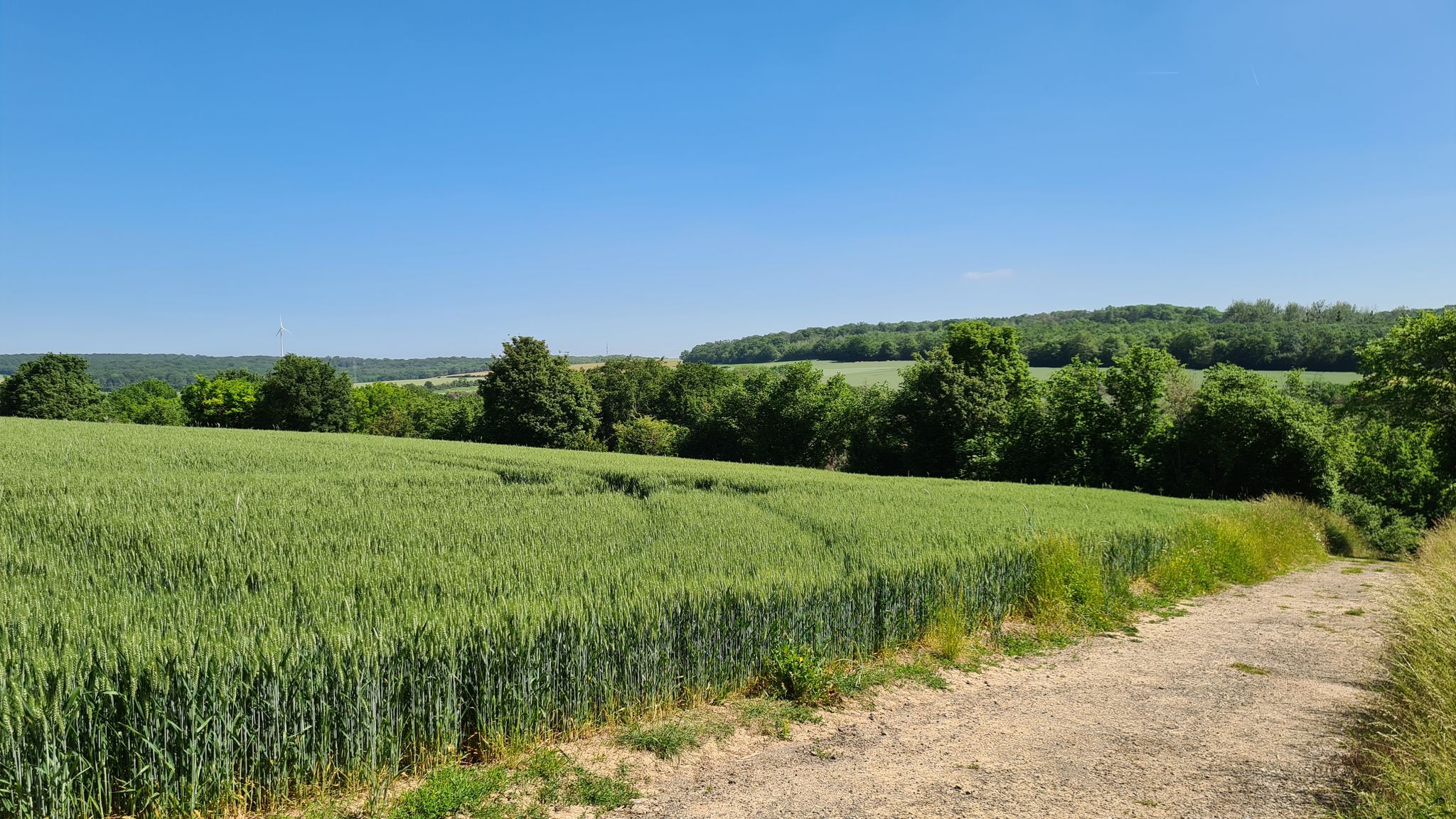 Lelliger Plateau