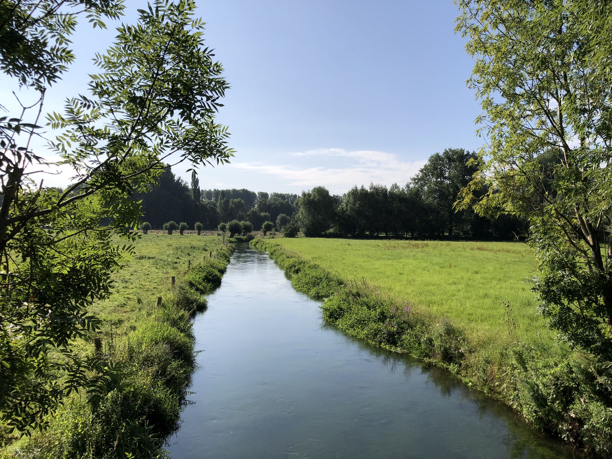 die Heder bei Salzkotten
